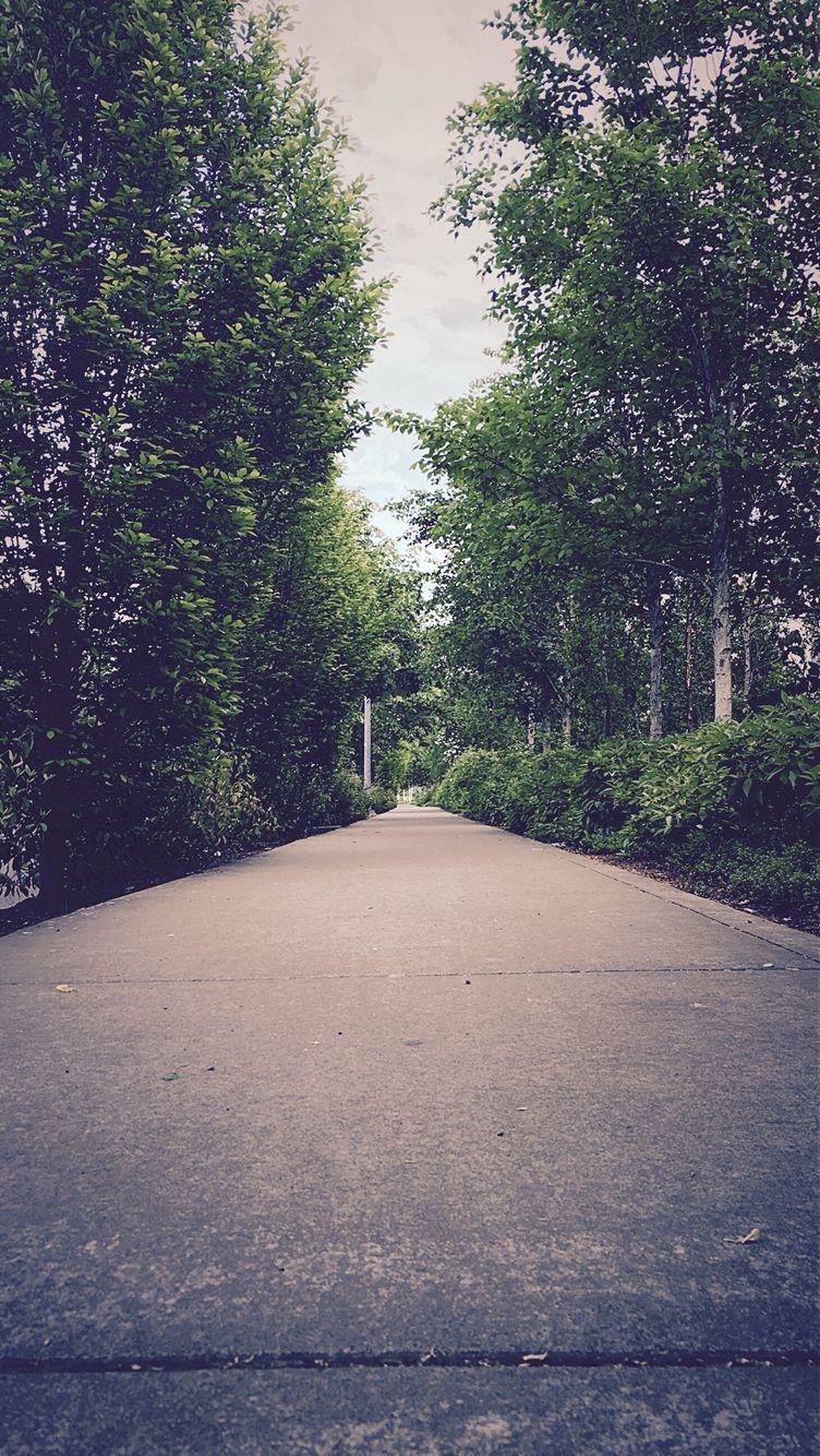 Eugene Oregon Wallpapers Top Free Eugene Oregon Backgrounds