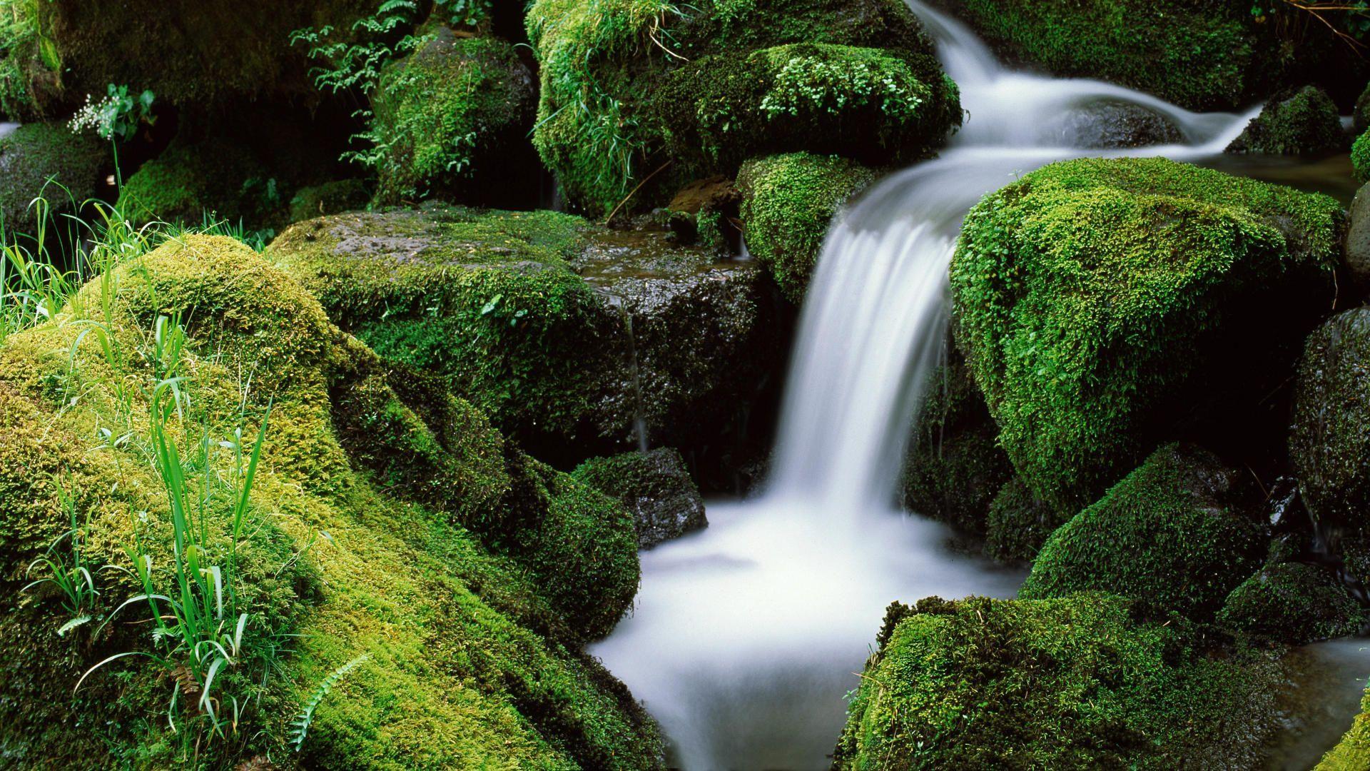 1920x1080 Creek Desktop Wallpaper, Creek Background, New Background