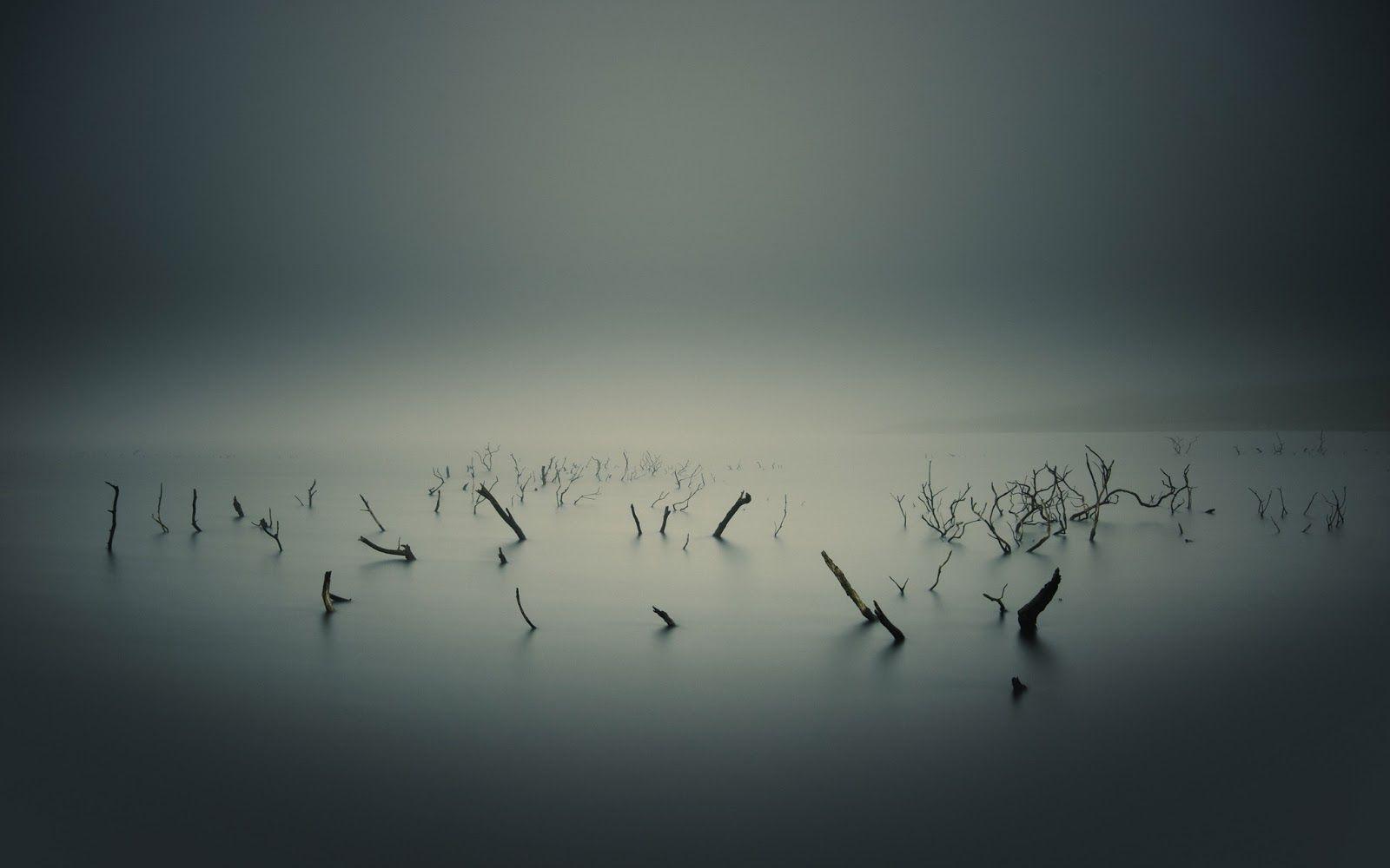 1600x1000 wppcentral the best wallpaper first: Morbid lake