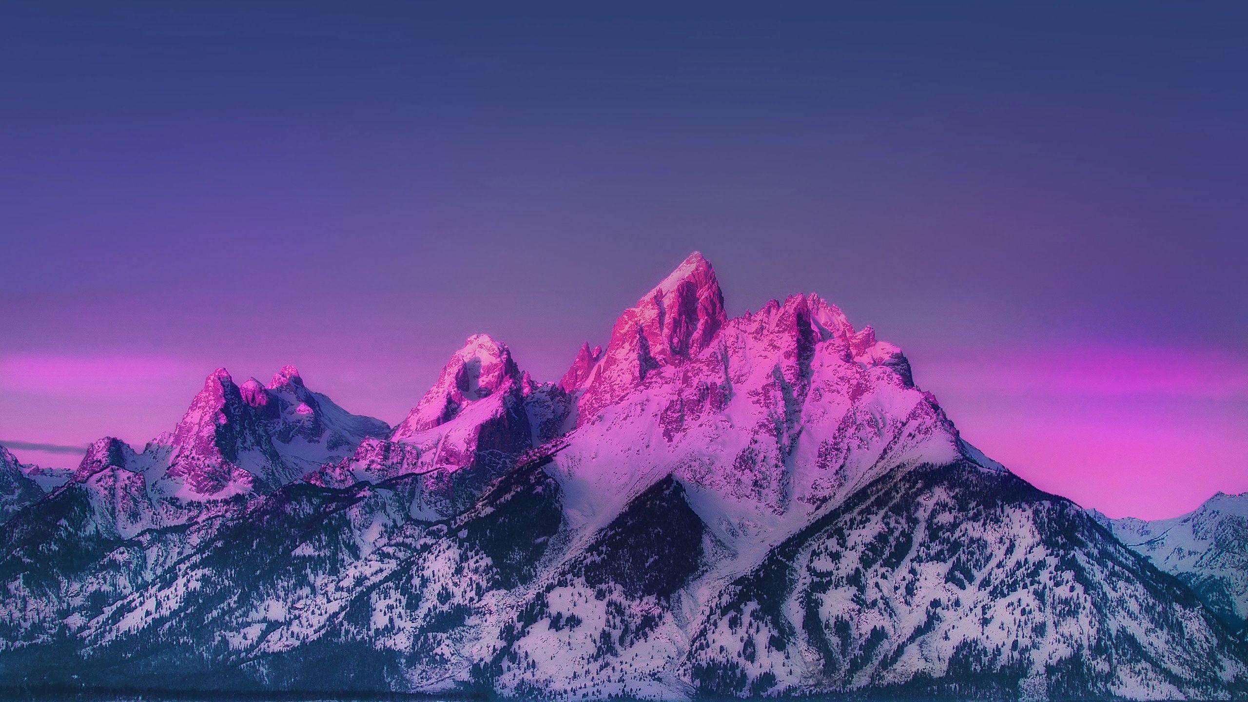 2560x1440 Pink Snowed Mountains Teton National Park, Snake River Overlook HD Wallpaper