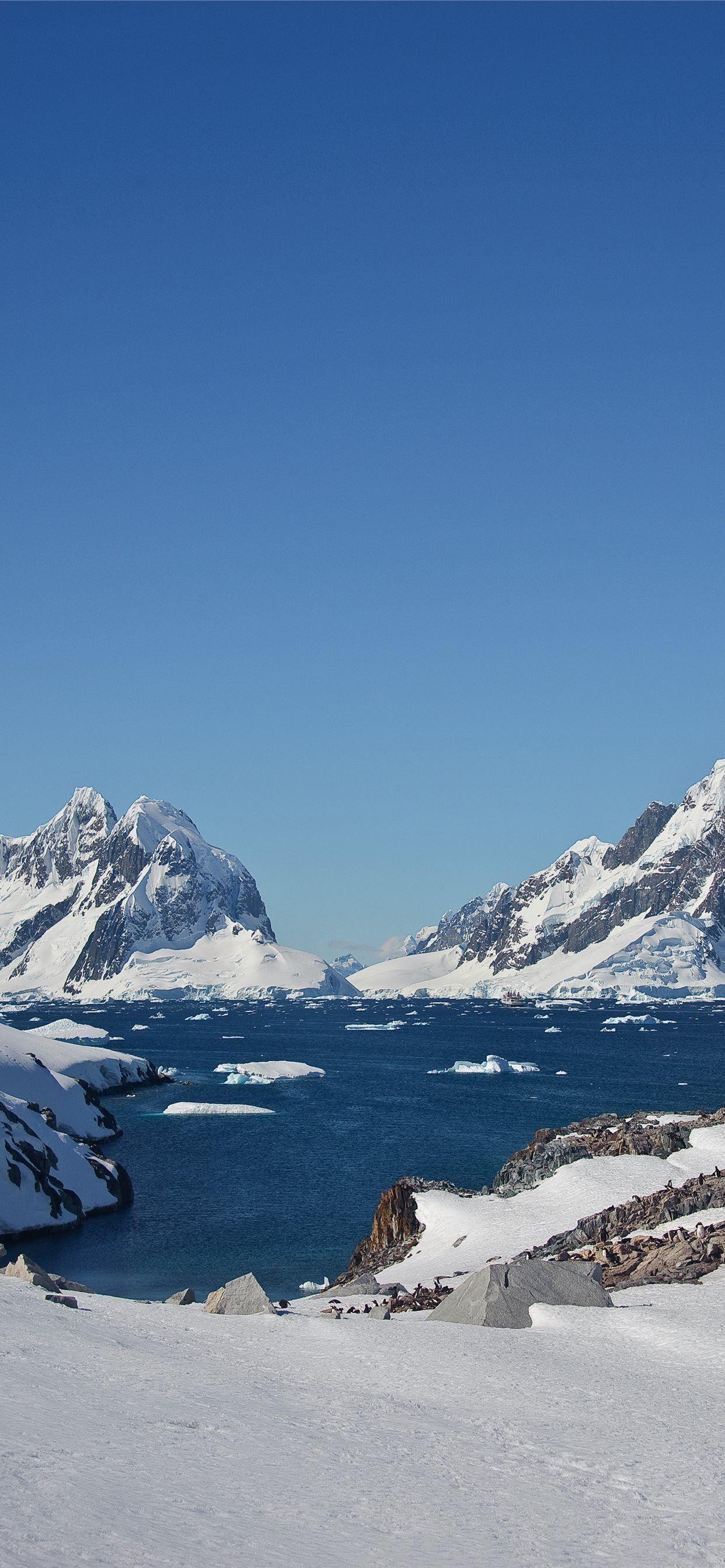1242x2688 Antarctica iPhone X Wallpaper Free Download