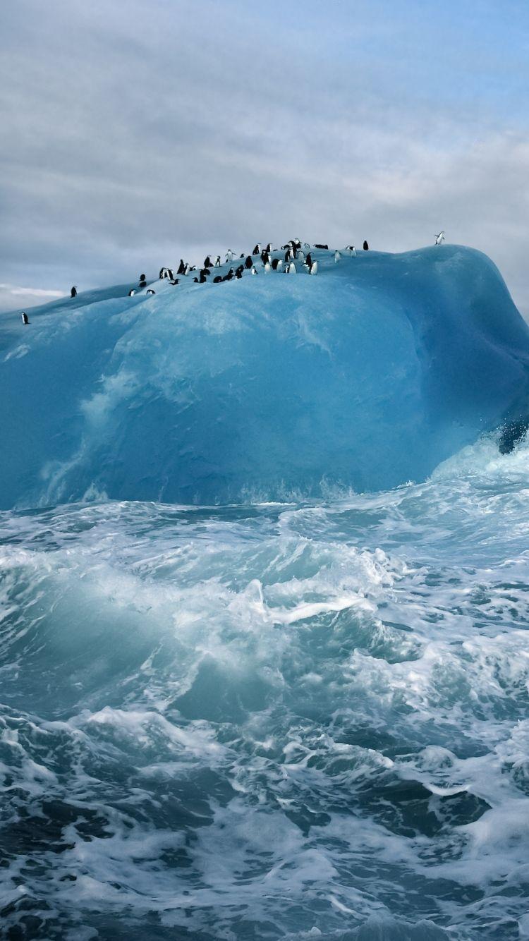 750x1334 Free Antarctica Wallpaper