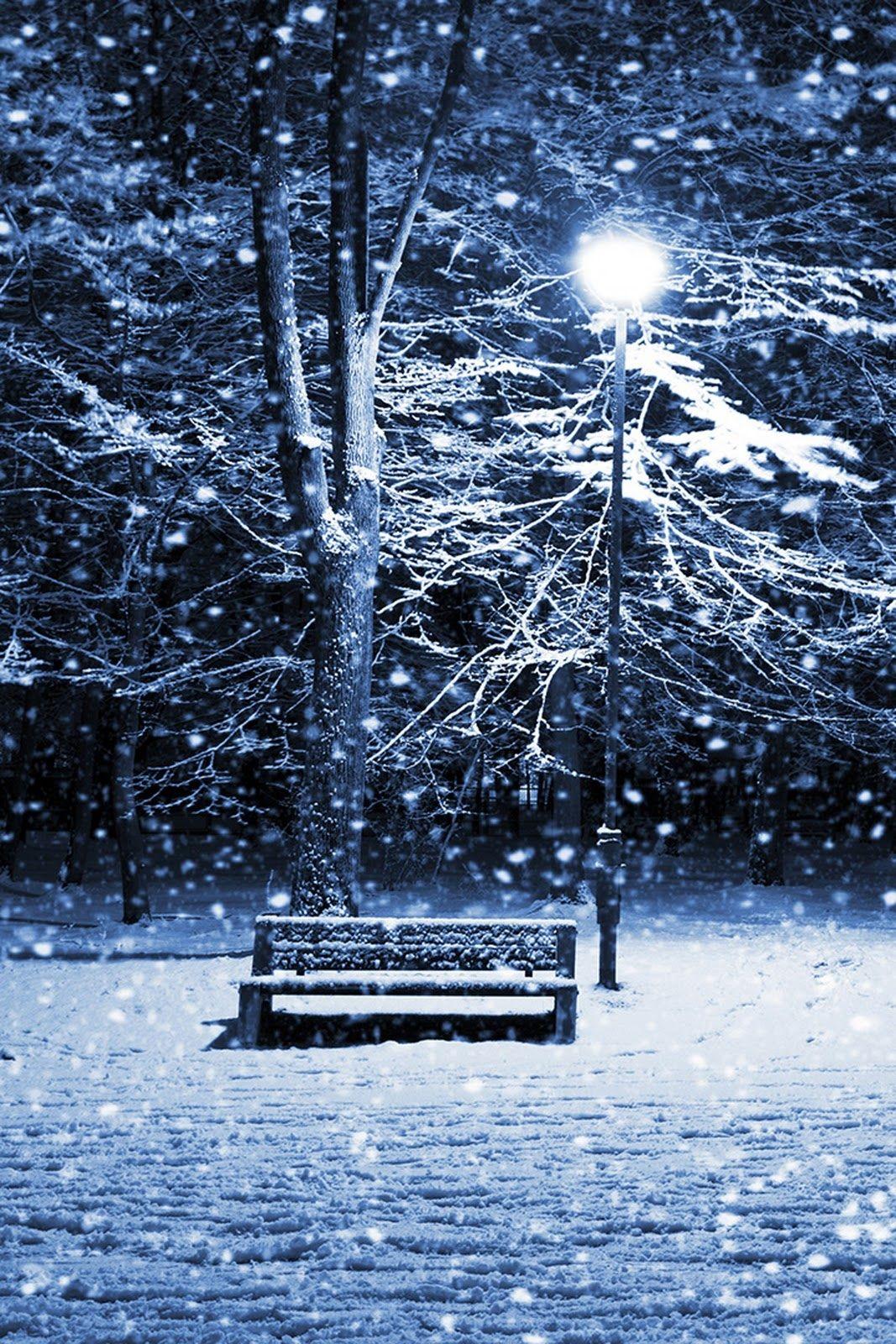 1067x1600 Snowy Night Wallpaper