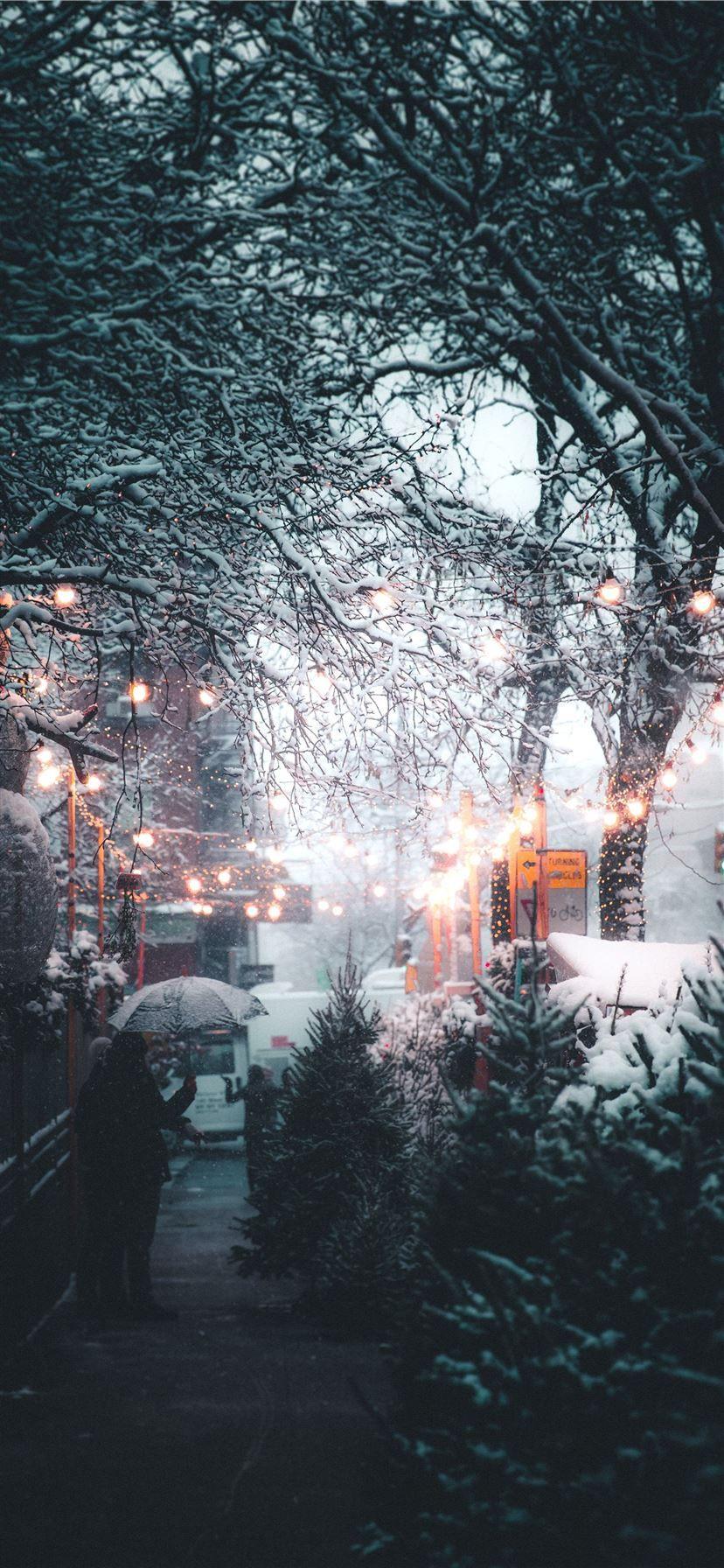 828x1792 Snow iPhone 11 HD Wallpaper