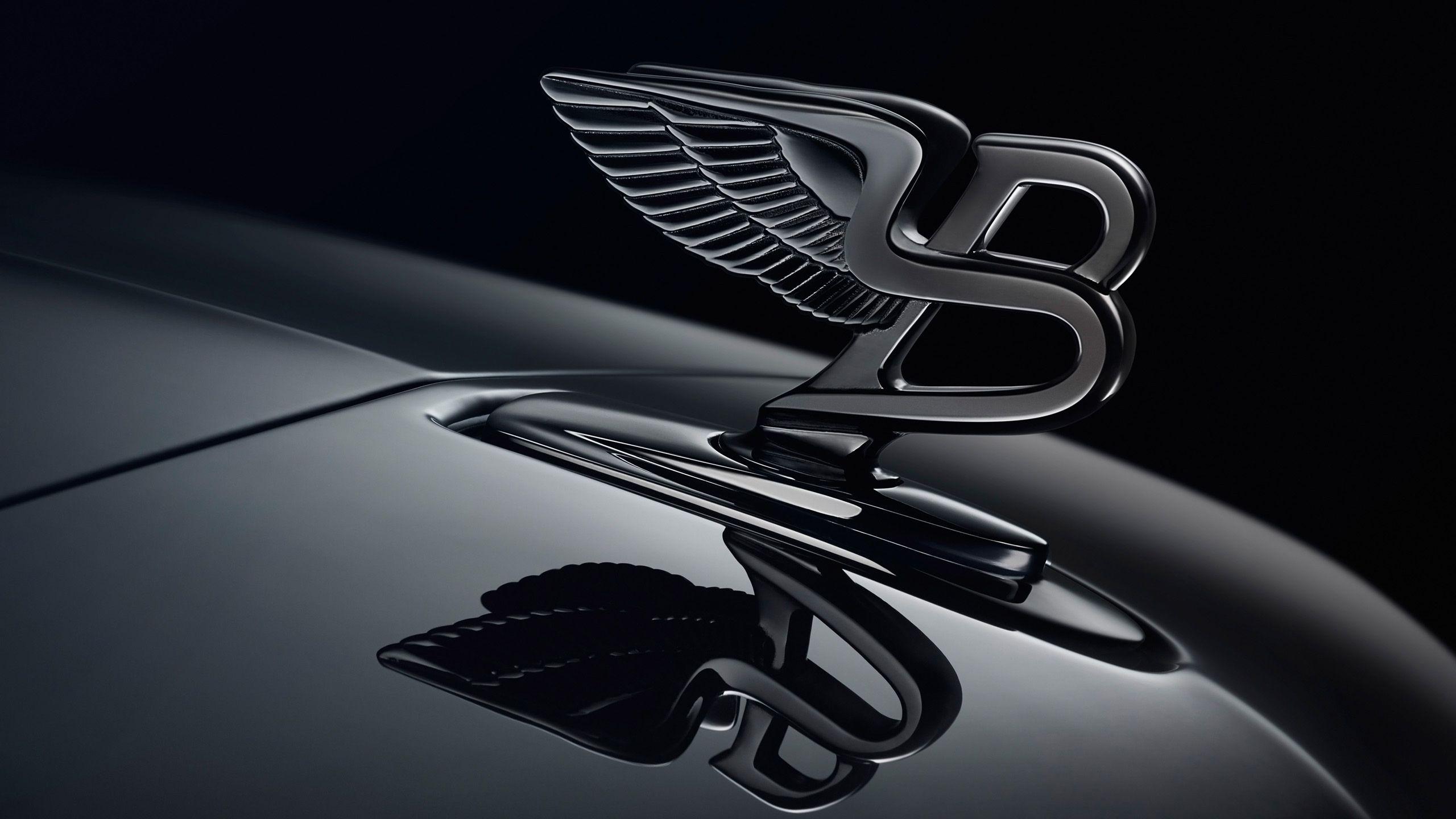 2560x1440 Car Logo Wallpaper HD