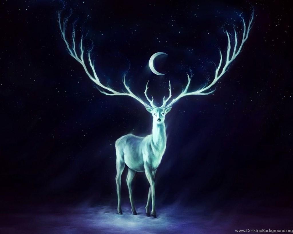 Beautiful Deer Wallpapers - Top Free Beautiful Deer Backgrounds -  WallpaperAccess