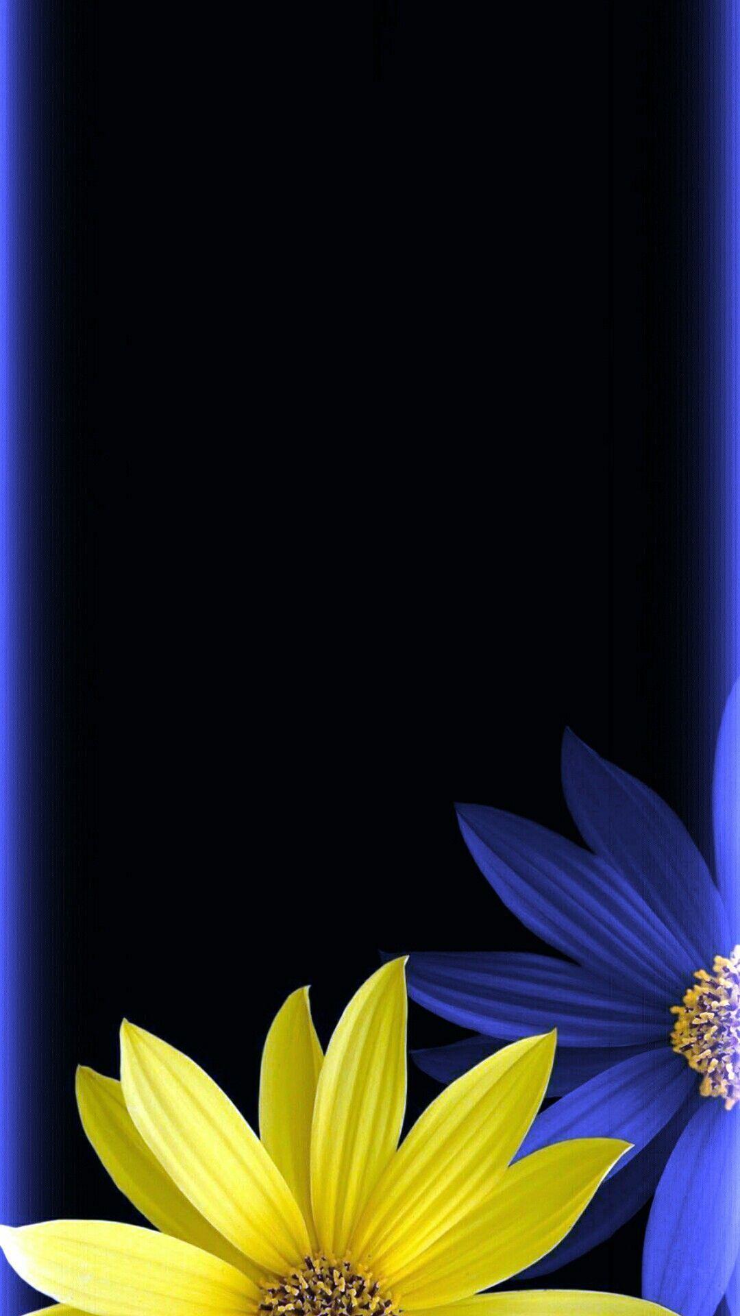 1080x1920 Blue yellow black floral wallpaper. wallpaper. flower. Black floral wallpaper, Flower phone wallpaper, Galaxy s8 wallpaper