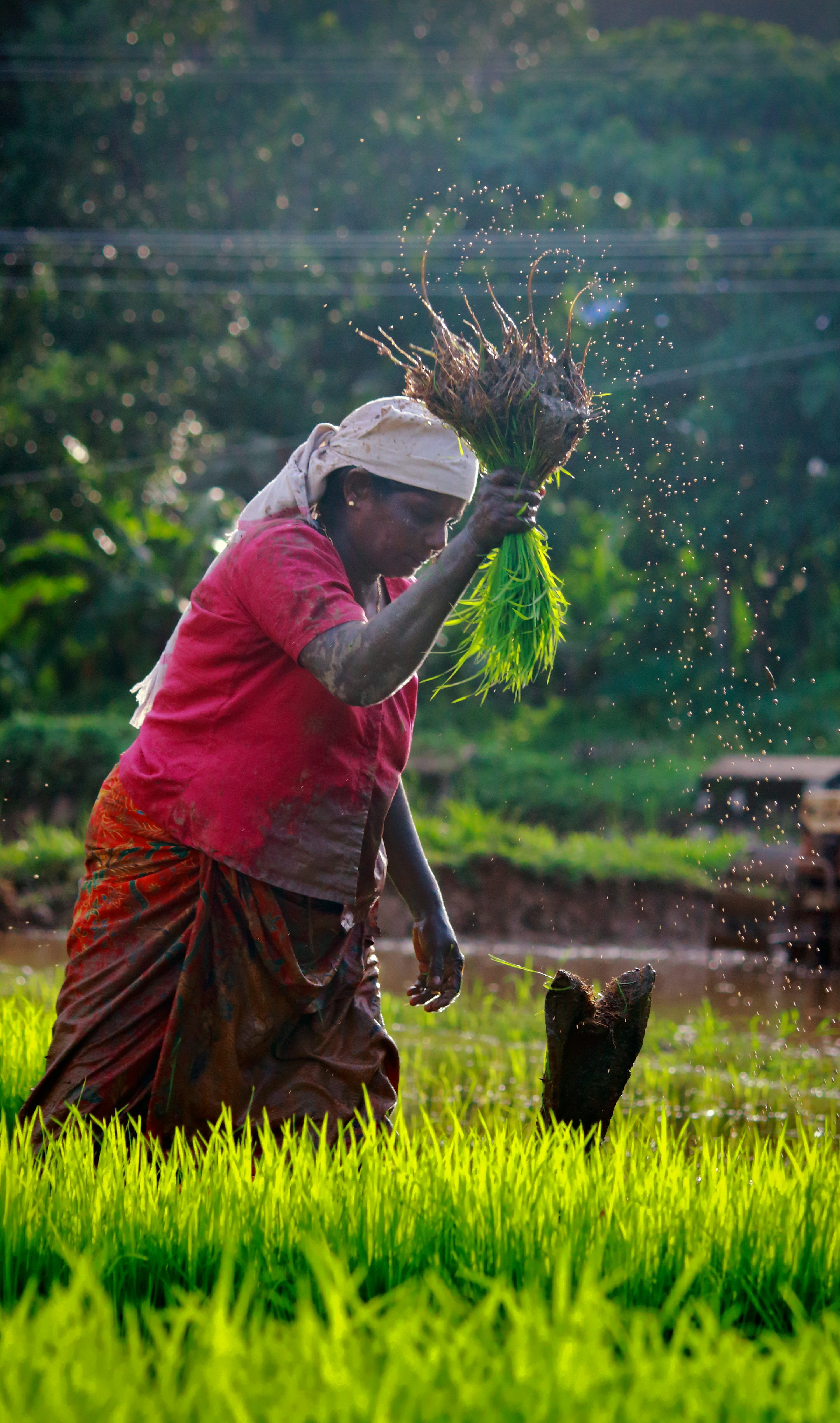 3000x5082 Indian Farmer Picture [HD]. Download Free Image