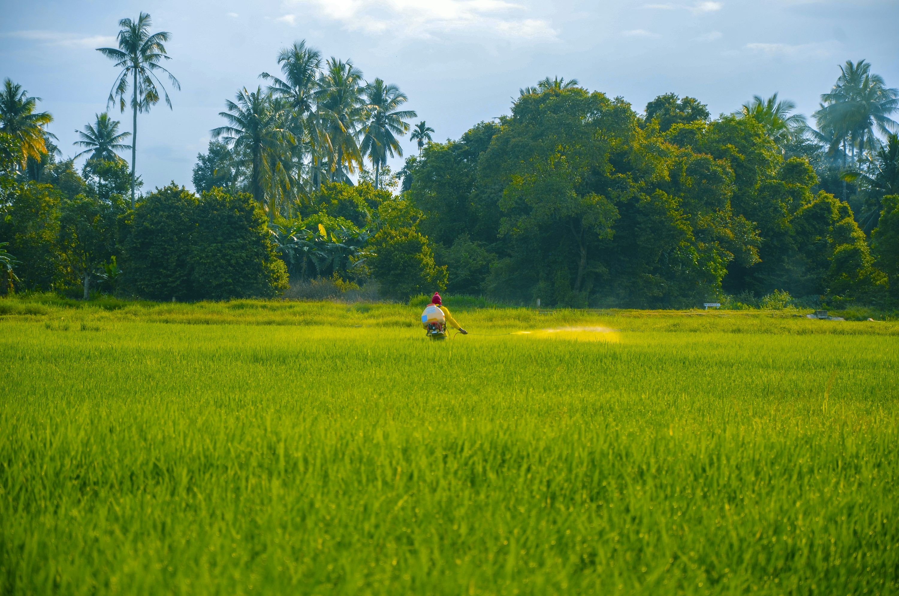 3000x1987 Indian Farmer Picture [HD]. Download Free Image