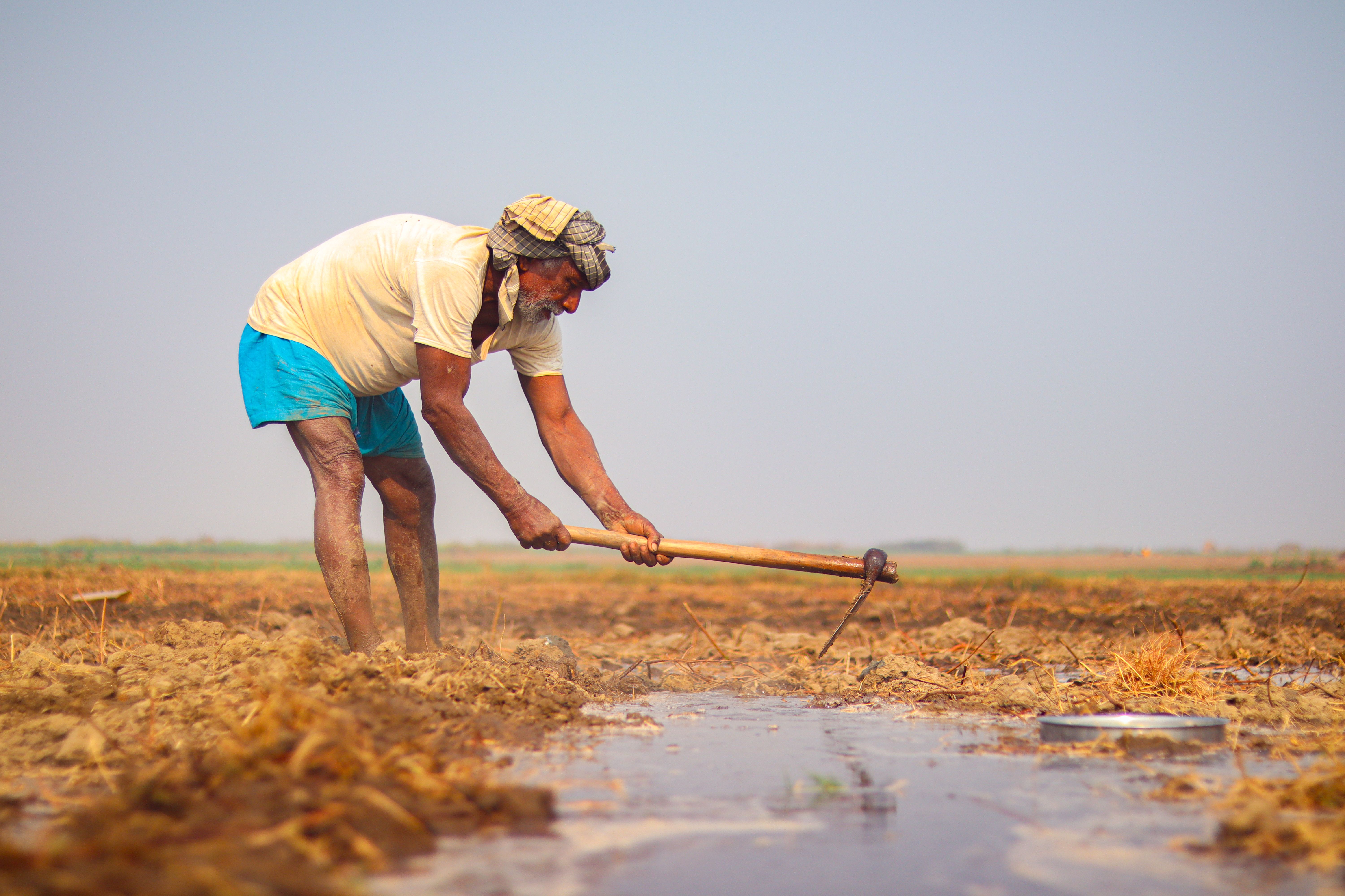 6000x4000 Indian Farmer Working in a Field During Summer · Free