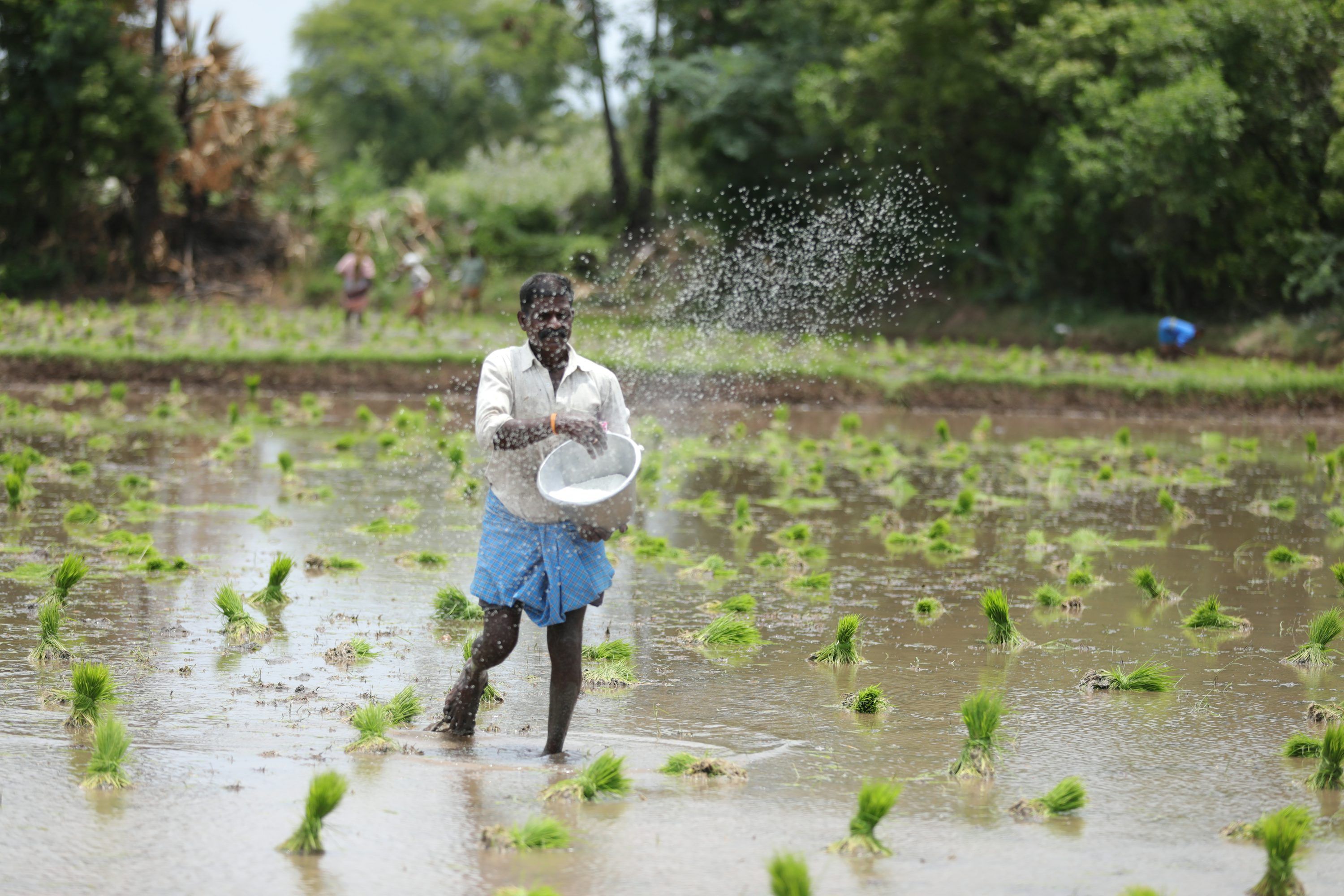 3000x2000 Indian Farmer Picture [HD]. Download Free Image