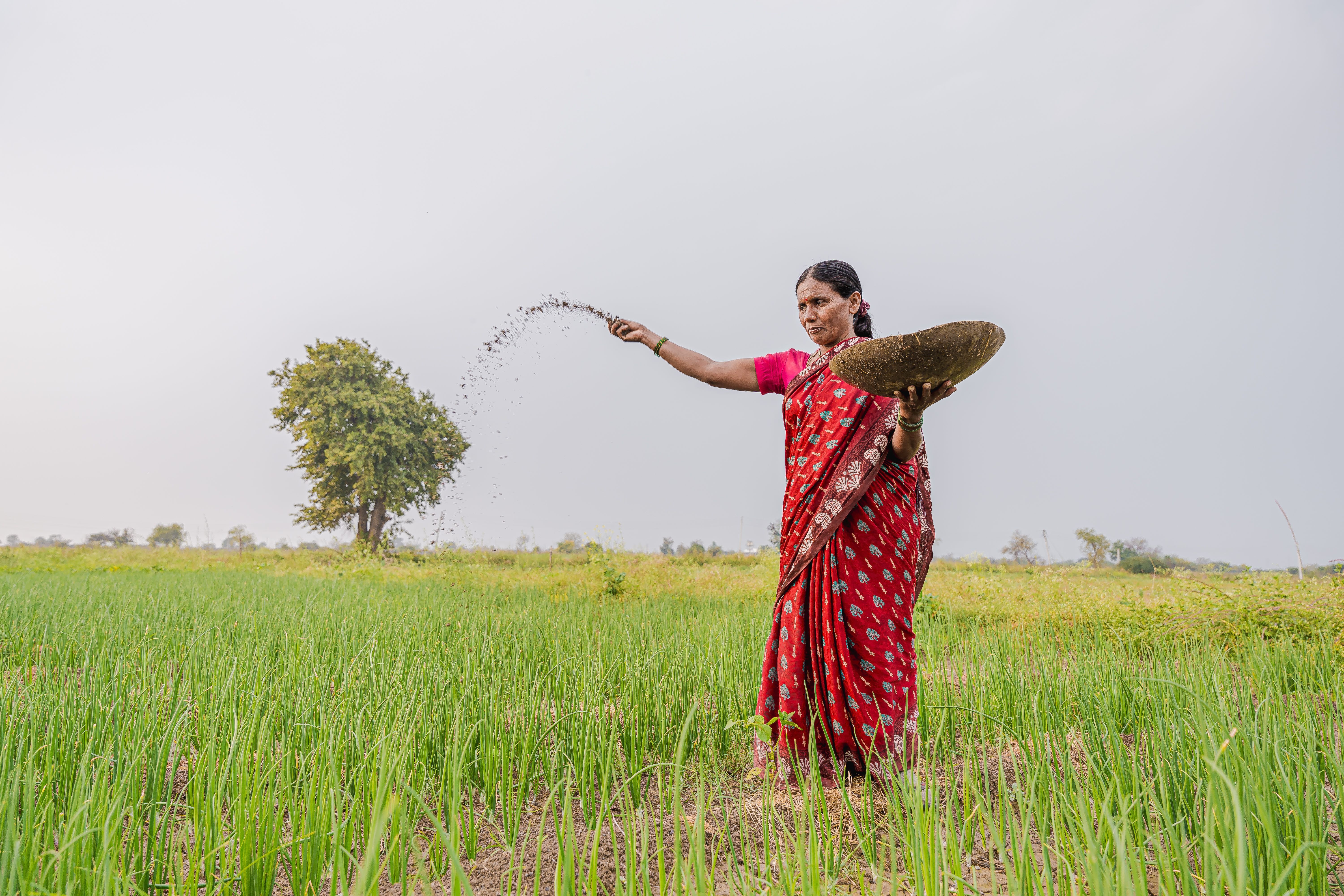 6000x4000 Indian Farmer Photo, Download The BEST Free Indian Farmer & HD Image