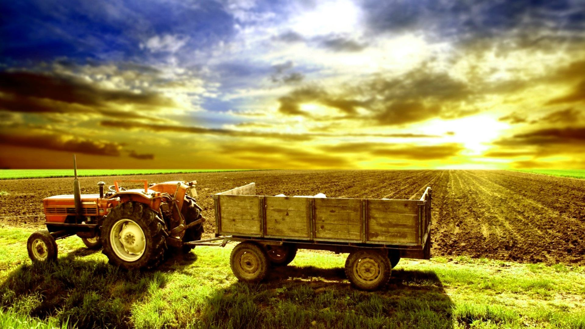 1920x1080 Indian Farmer Wallpaper