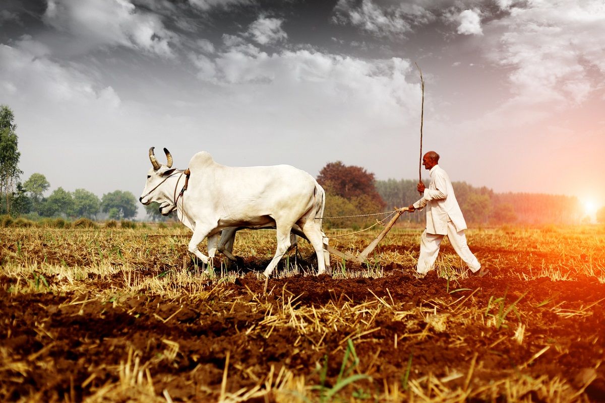 1200x800 Kisan rebranded