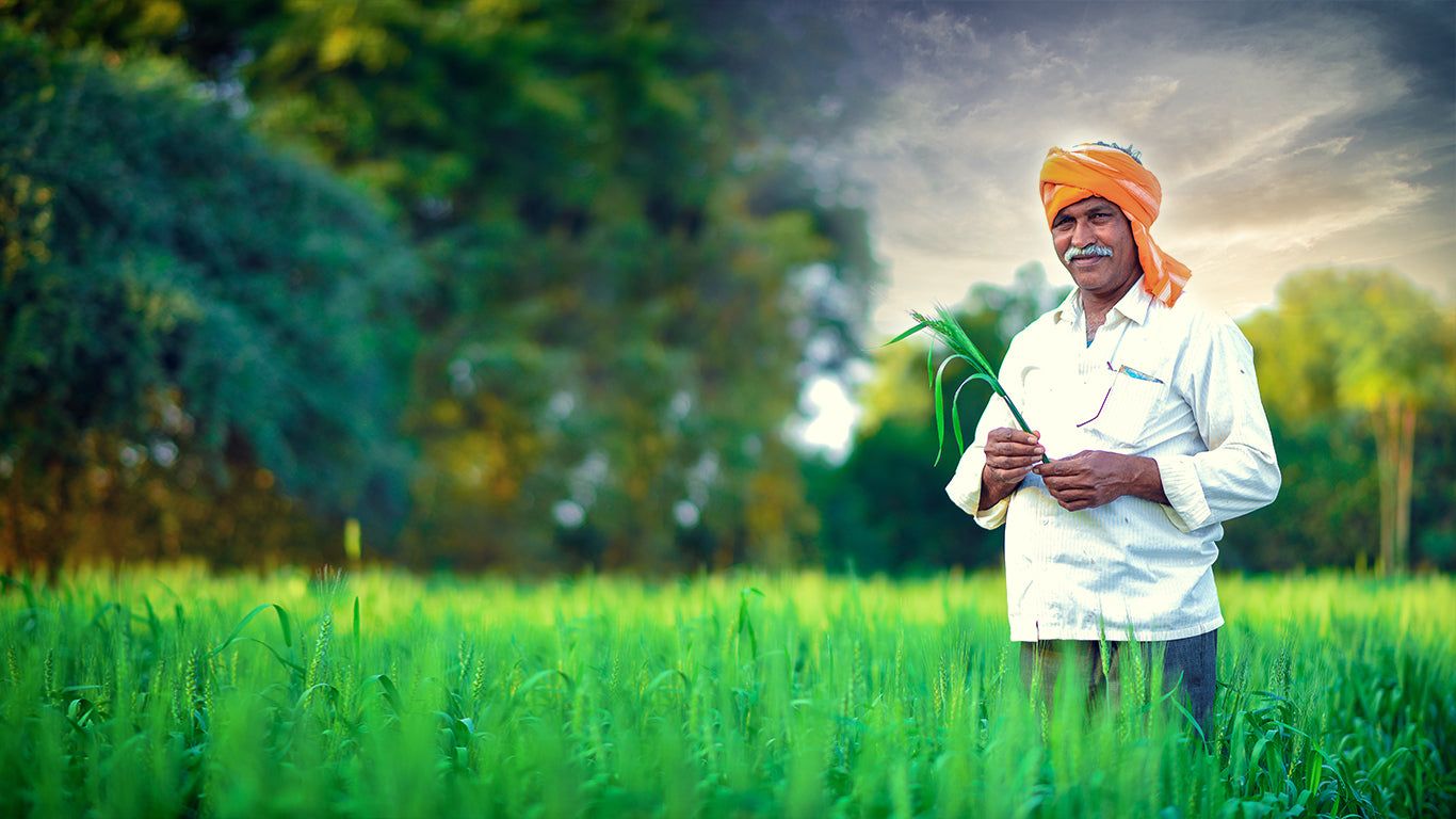 1366x768 We Are Farmers