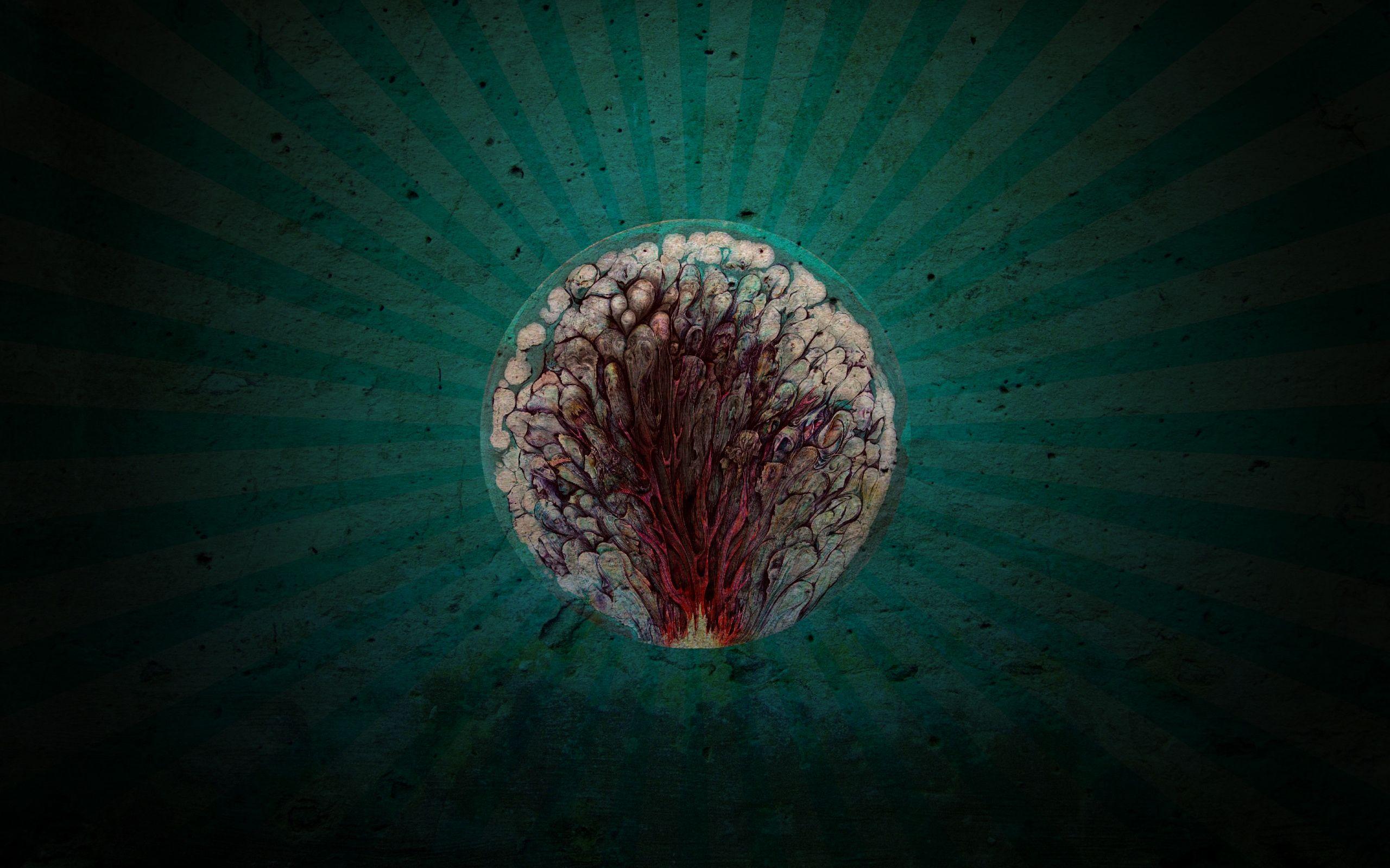 2560x1600 Dark Surreal Wallpaper .