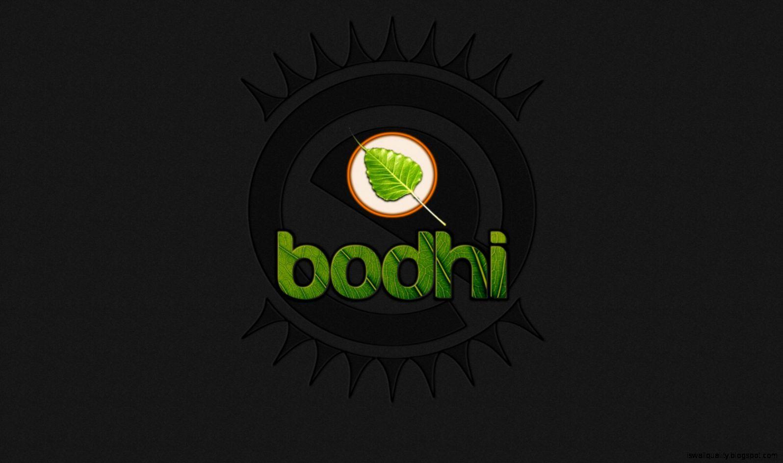 1596x945 Bodhi Linux Wallpaper HD