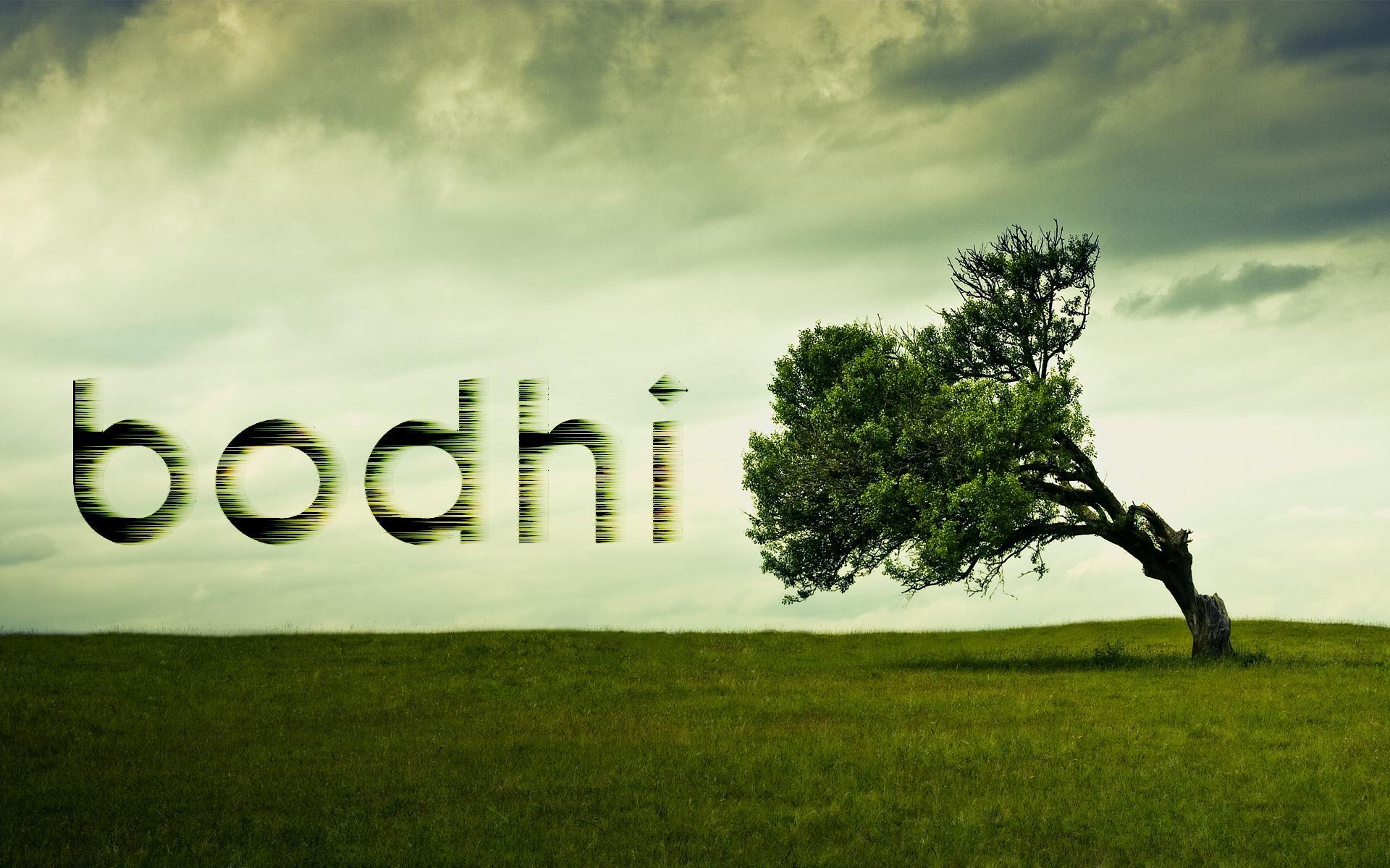 1920x1200 Bodhi Linux. Is Open is Free
