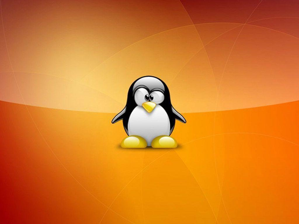 1024x768 Linuxballs linux balls bodhi linux x wallpaper Linux. HD wallpaper, Linux, Wallpaper background