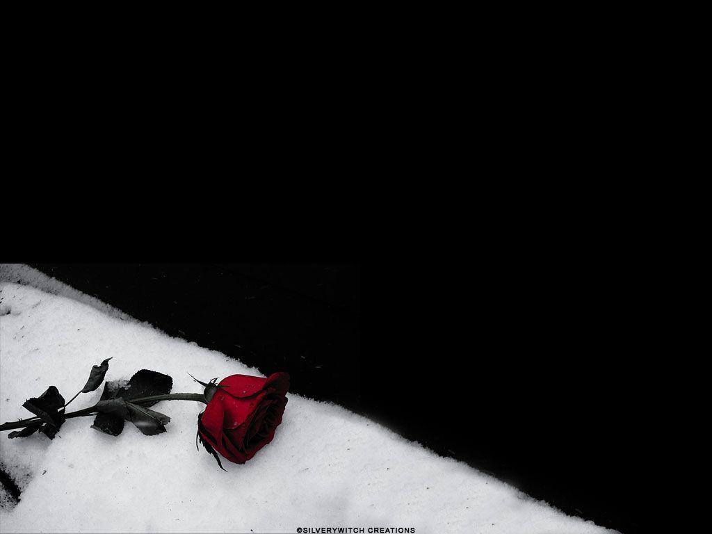 1024x768 Emo Roses Wallpaper