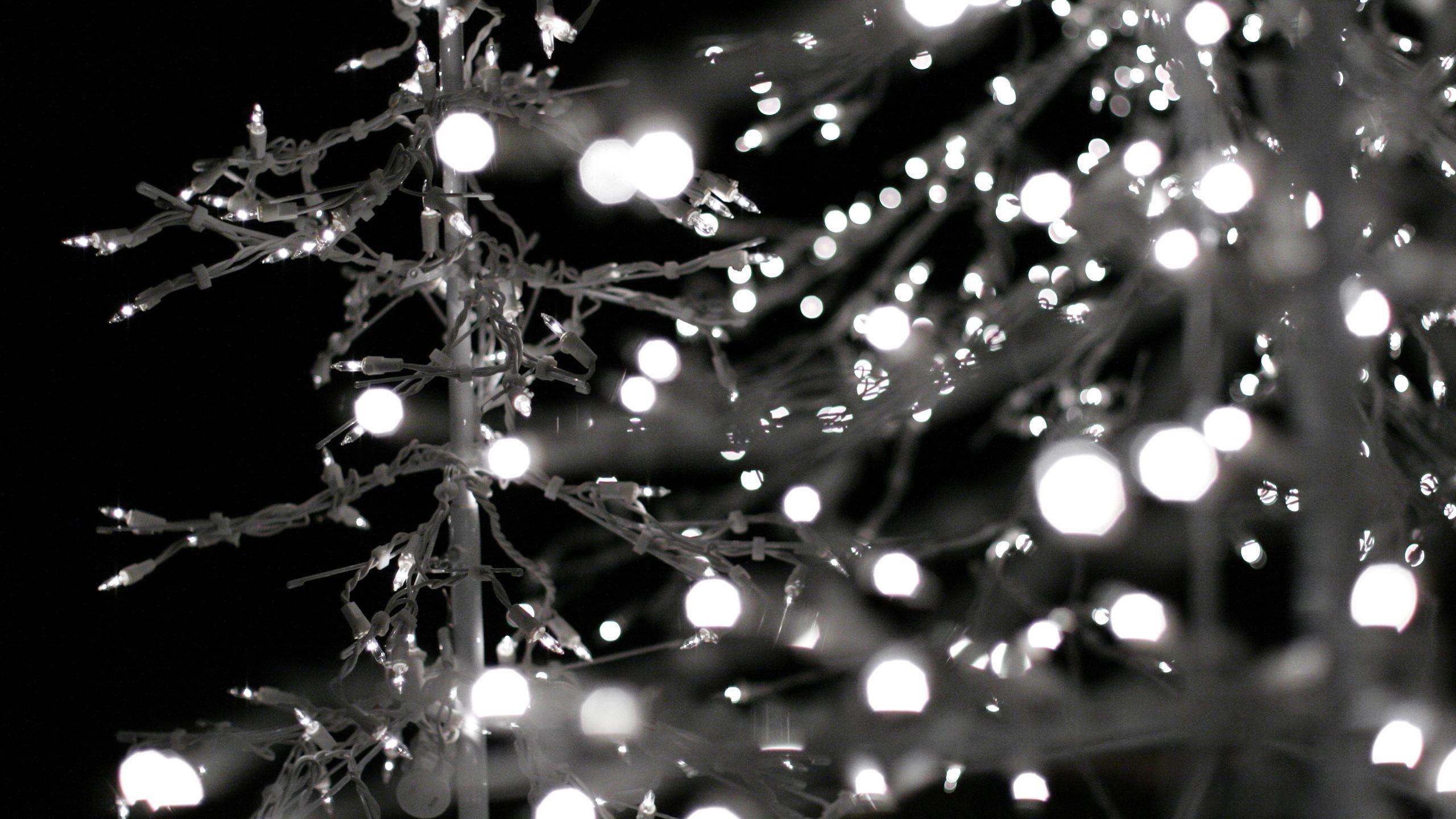 2560x1440 Christmas Lights Monochrome desktop PC and Mac wallpaper