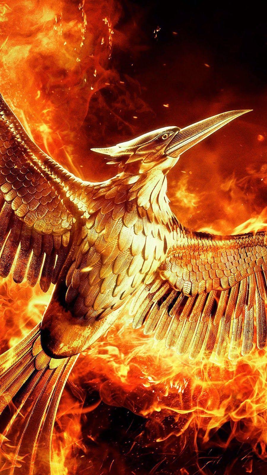 900x1600 Fantasyland. Phoenix rising, Phoenix