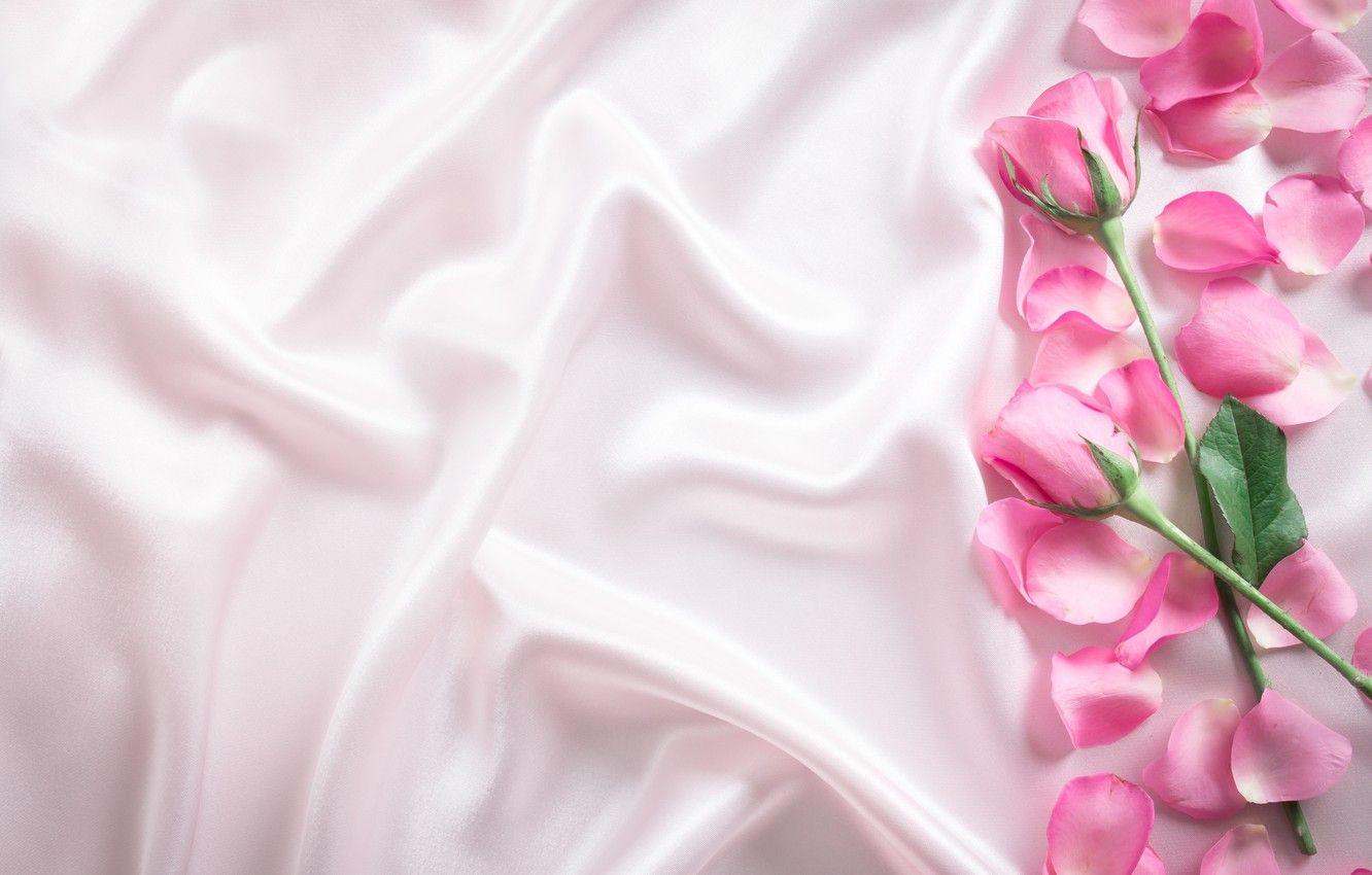 1332x850 Wallpaper flowers, roses, petals, silk, pink, buds, fresh, pink, flowers, beautiful, silk, roses image for desktop, section цветы