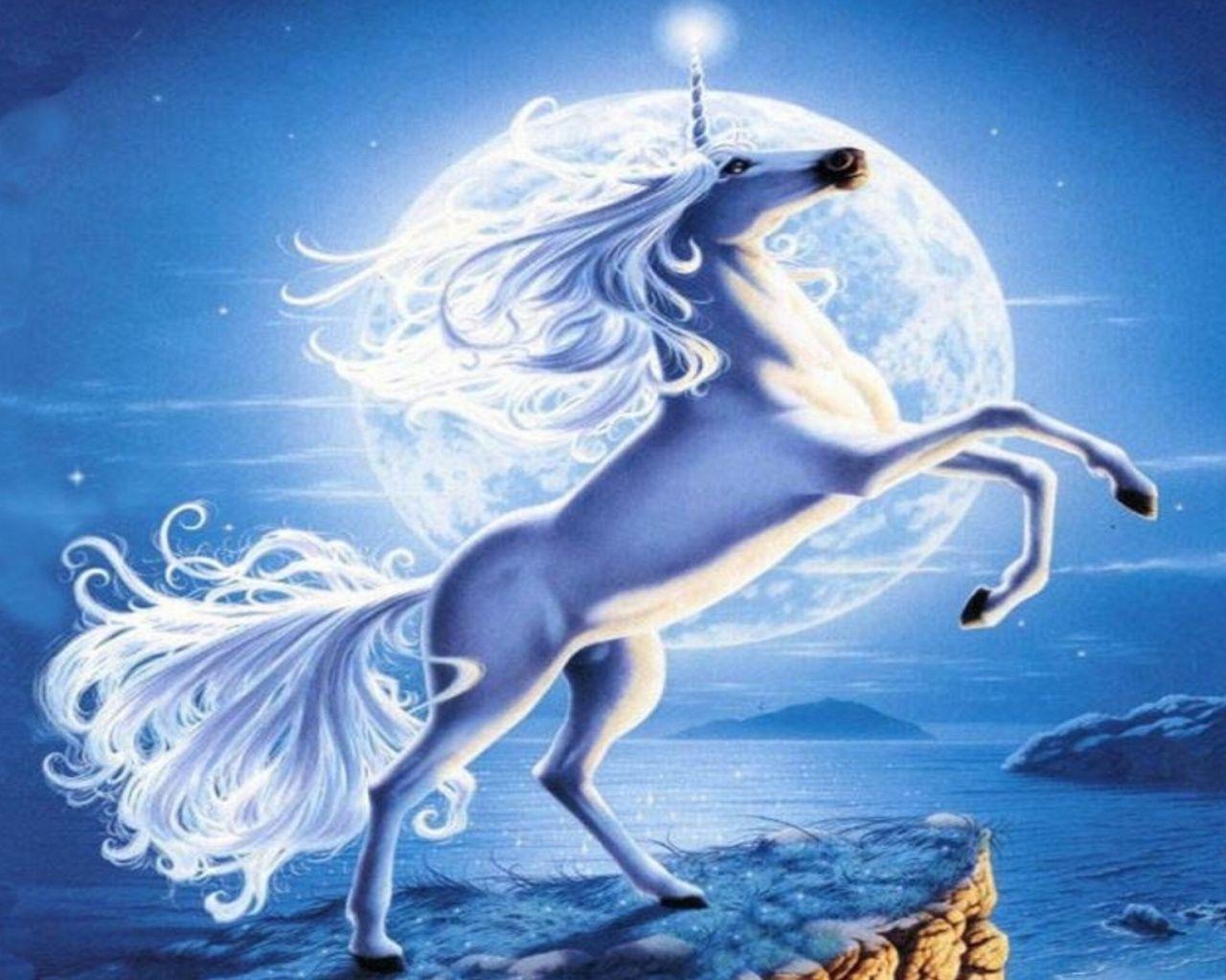 1280x1024 Originalwide Adorable Unicorn Full Moon Wallpaper Wallpaper & Background Download