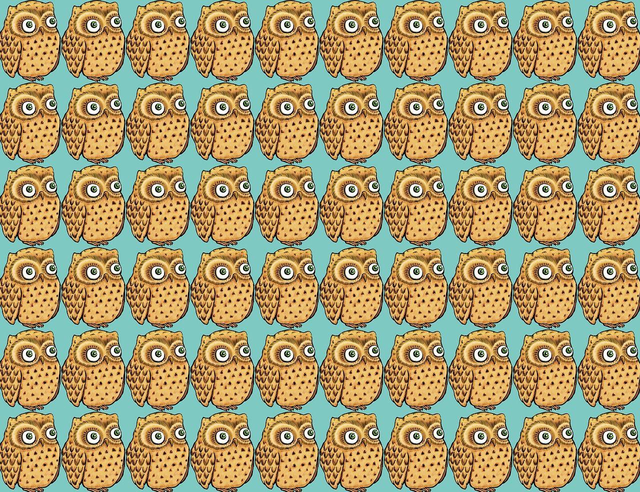 1280x984 Download free photo of Owl wallpaper, owl, wallpaper, bird, owl design
