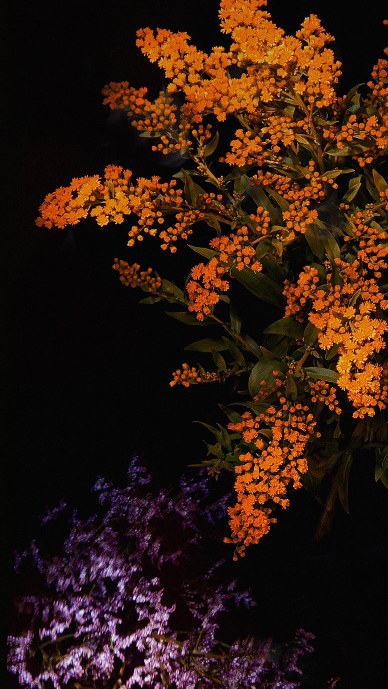 1242x2208 iPhone Black Orange Wallpaper