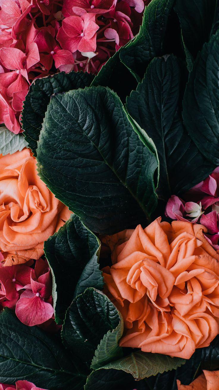 736x1308 Vintage floral iPhone Wallpaper Collection