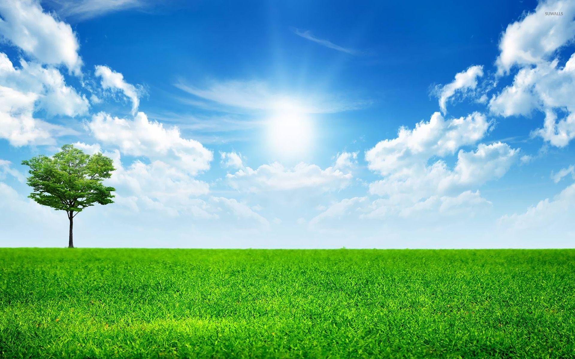 1920x1200 Blue Sky Nature Wallpaper