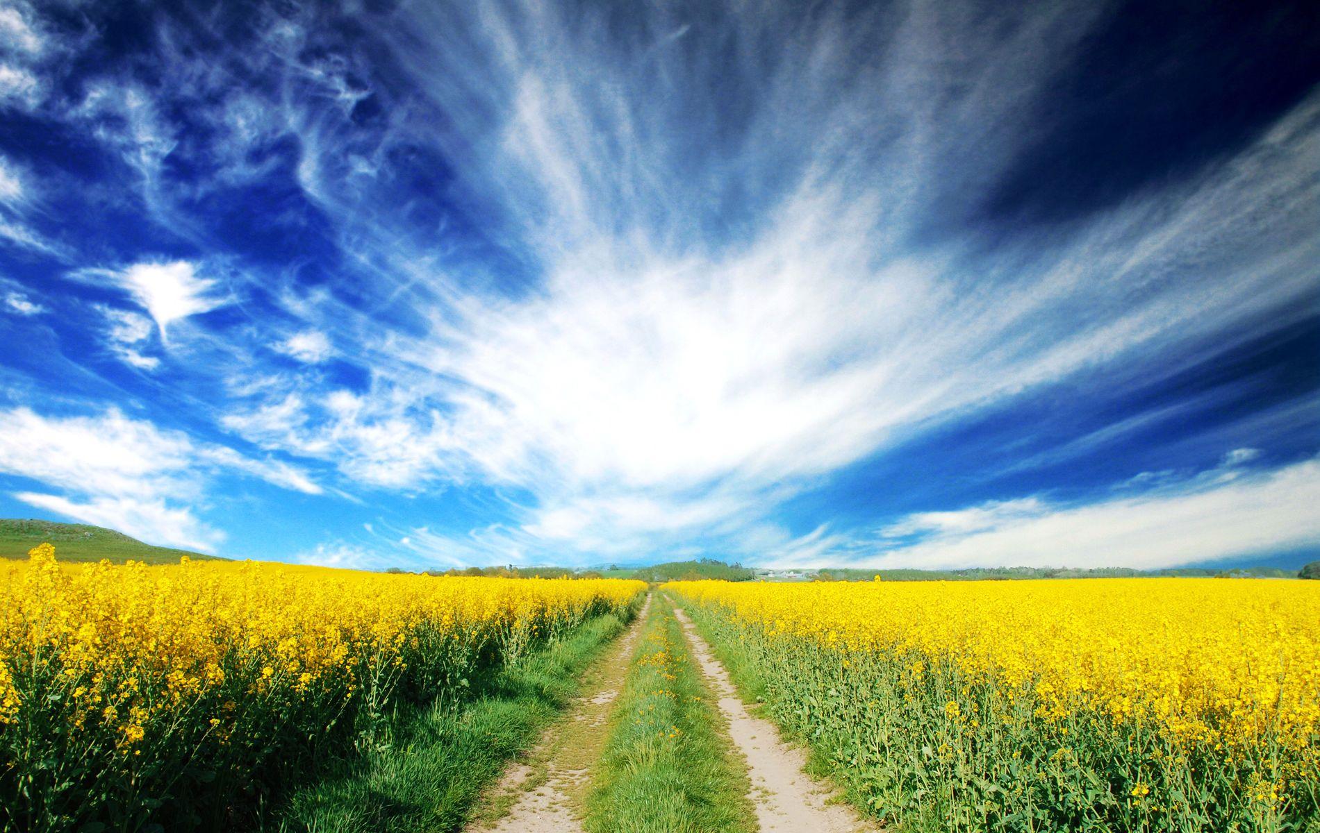1900x1200 Download wallpaper: dirt road, download photo, beautiful blue Sky, wallpaper for desktop