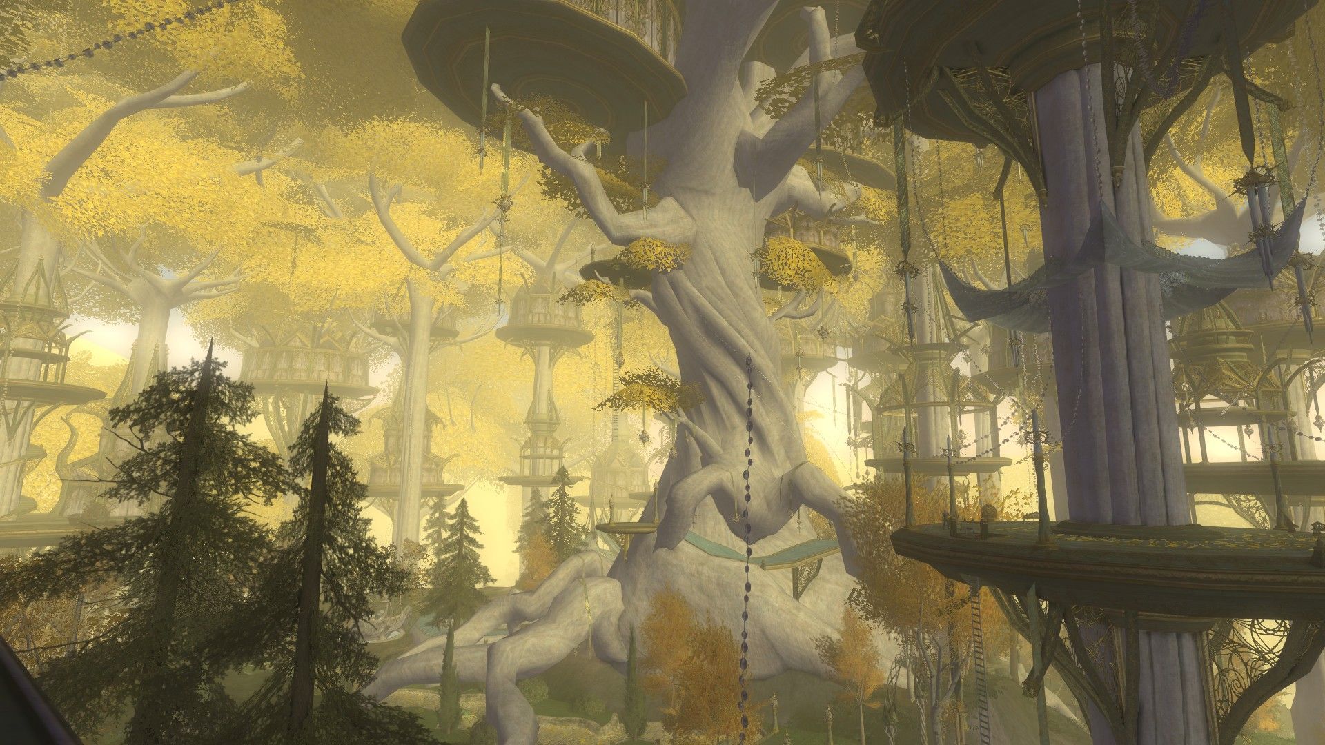 1920x1080 A Night To Remember In Lórien. And I Got To Finally Meet My Personal Favorite Tolkien Character Galadriel Lady Of The Galadhrim In Game. Great Ambience, Music And Visuals. Here's Some Screenshots I