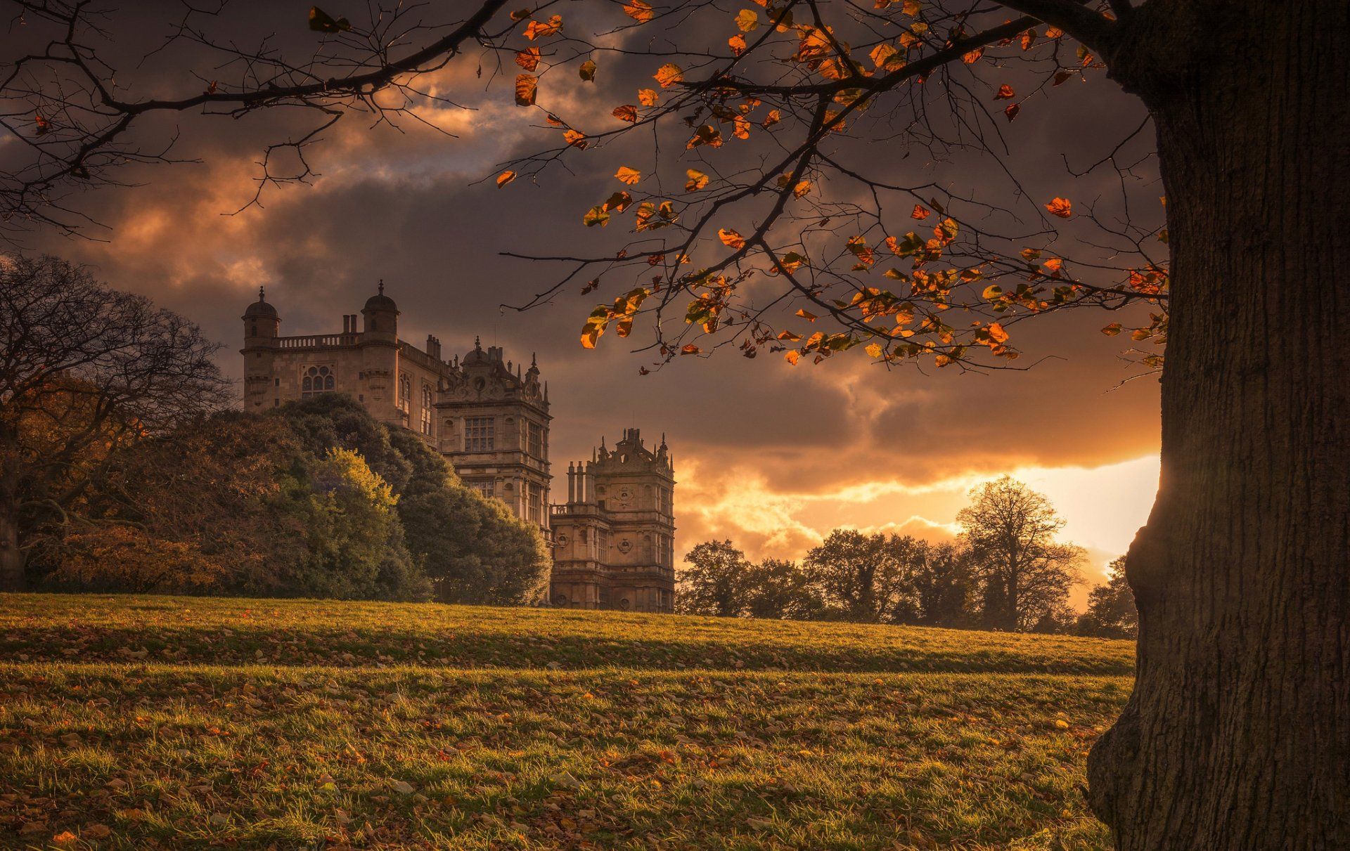 1920x1211 Wollaton Park Castle: England's Majestic Man Made Heritage In Stunning HDx1292