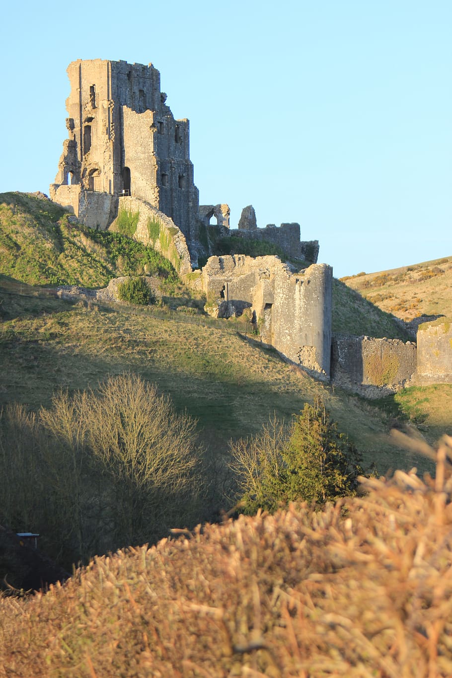 910x1365 Corfe Castle, Dorset 1080P, 2K, 4K, 5K HD wallpaper free download