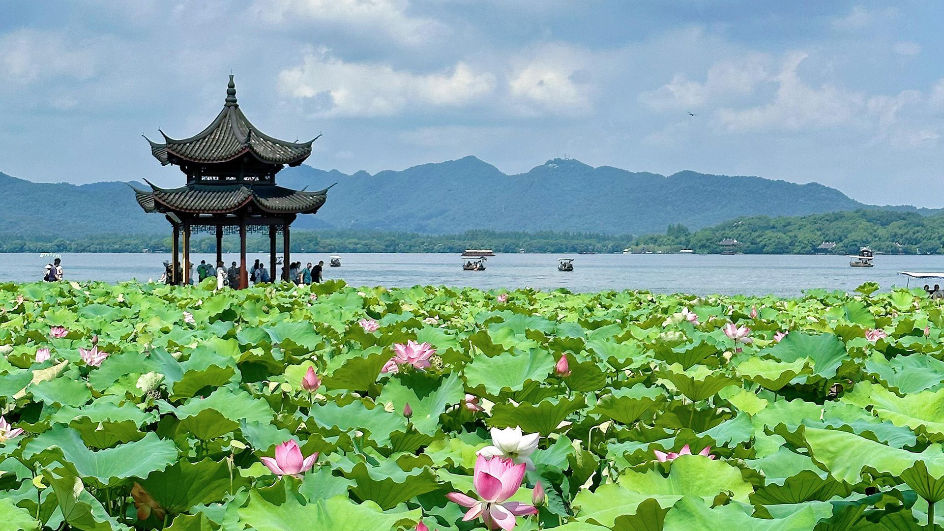 1920x1080 Hangzhou West Lake Day Tour Tours @WestChinaGo