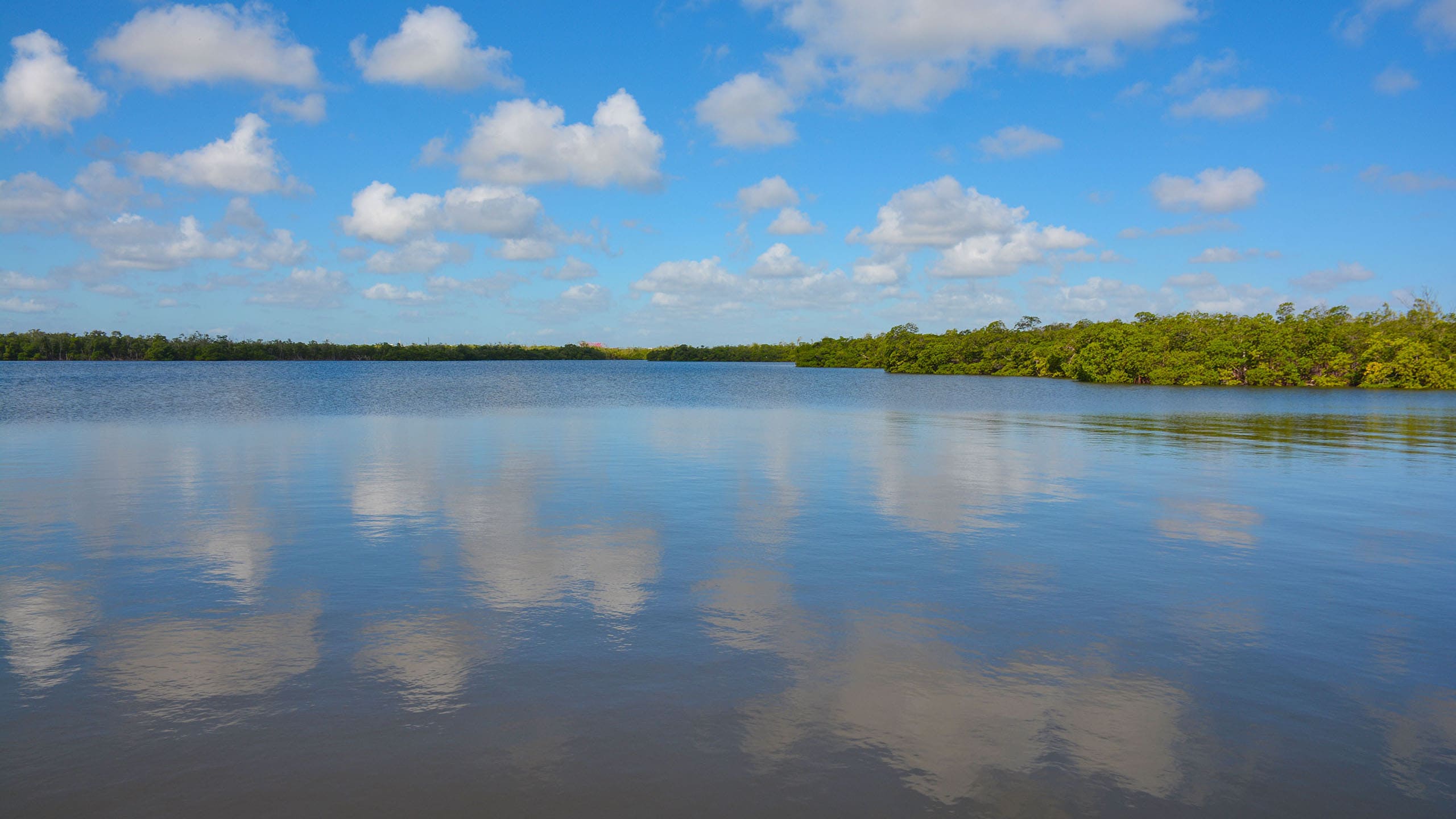 2560x1440 West Lake Park