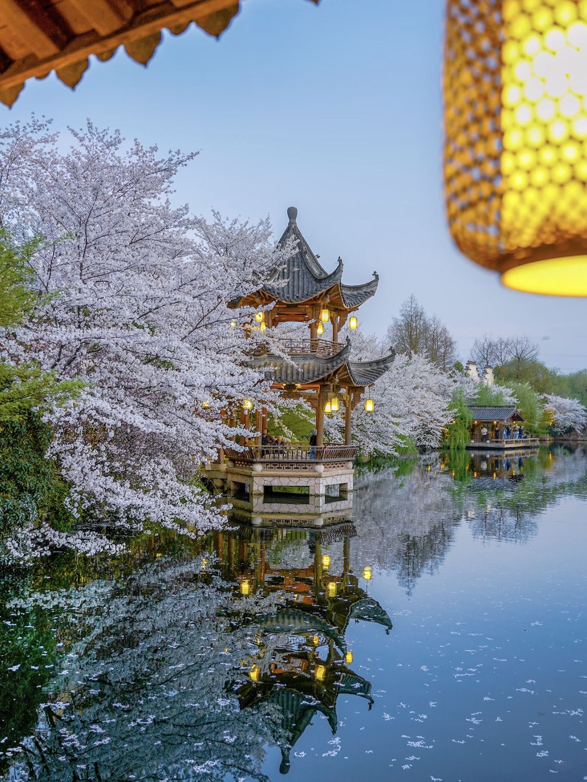 1206x1608 Thought West Lake's Cherry Blossoms Were Stunning? Wait Until You See This Hidden Gem. Trip.com Hangzhou