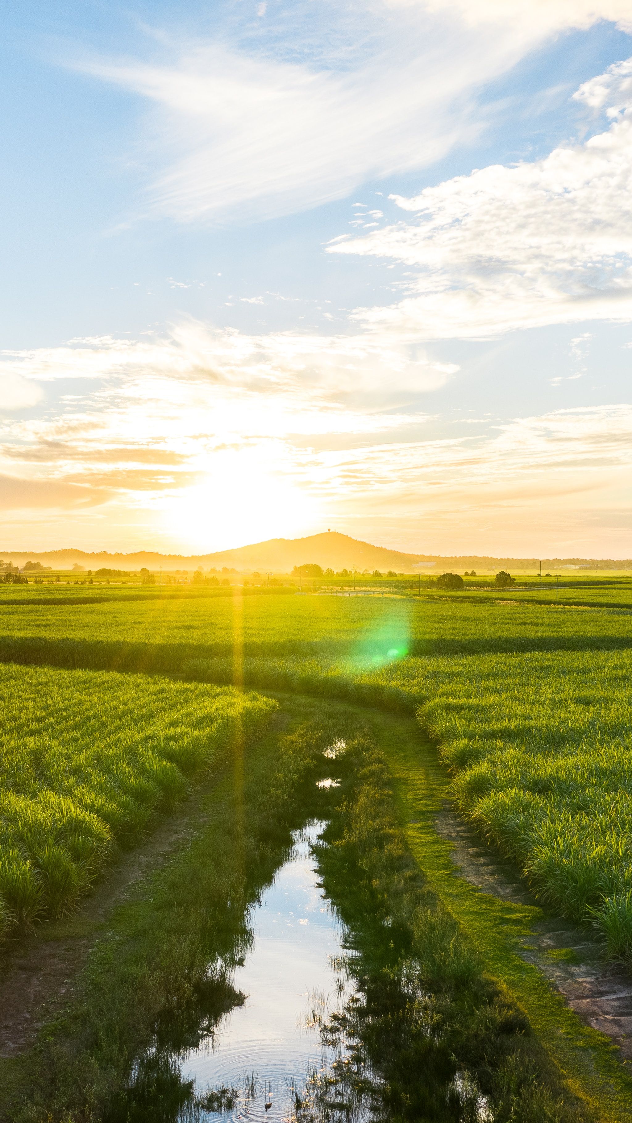 2048x3640 wallpaper for your phone. Download free picture 1440 x 3120 for mobile