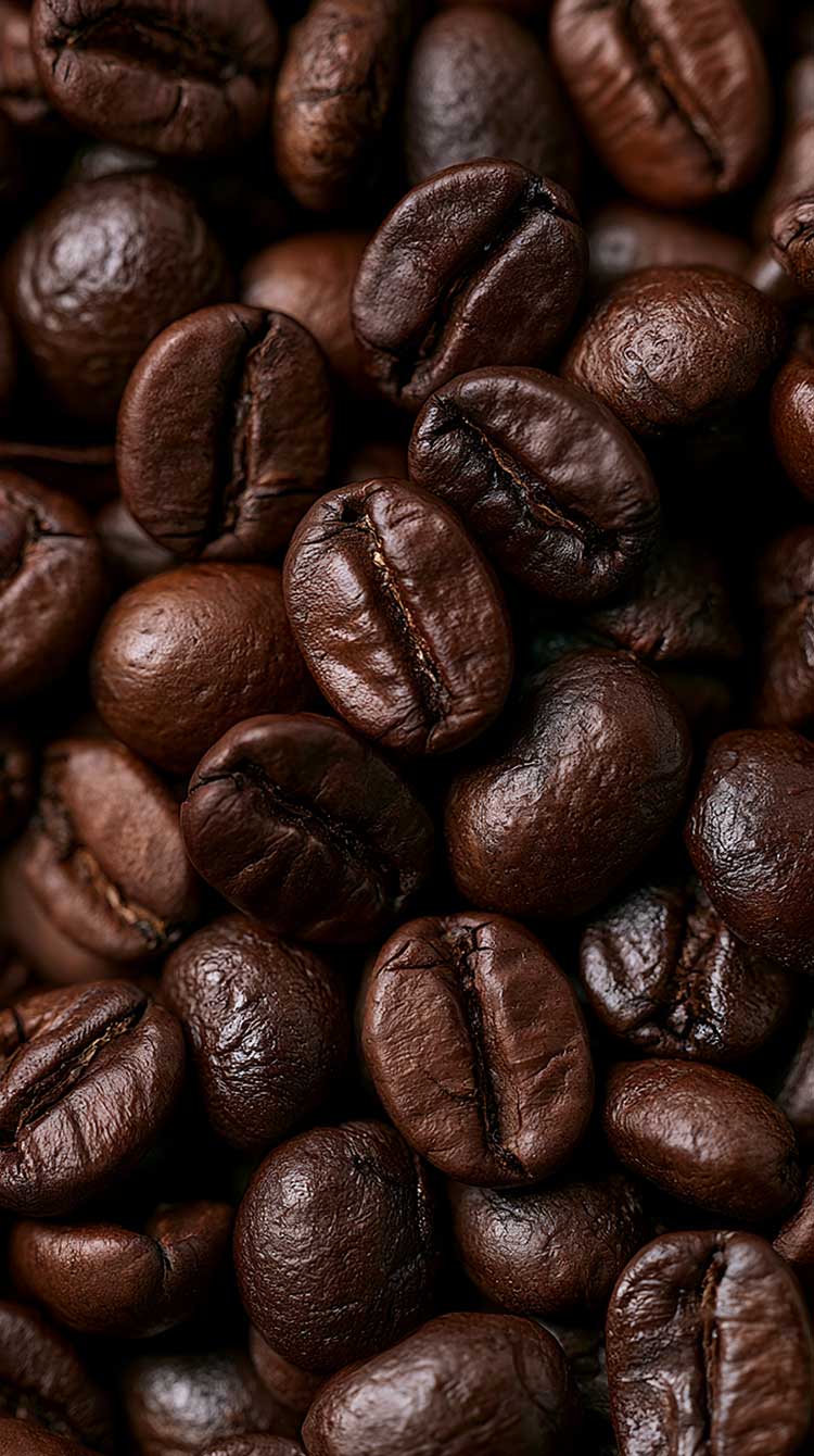 750x1340 Free Dark Brown Wallpaper for a Cozy Chic iPhone Screen