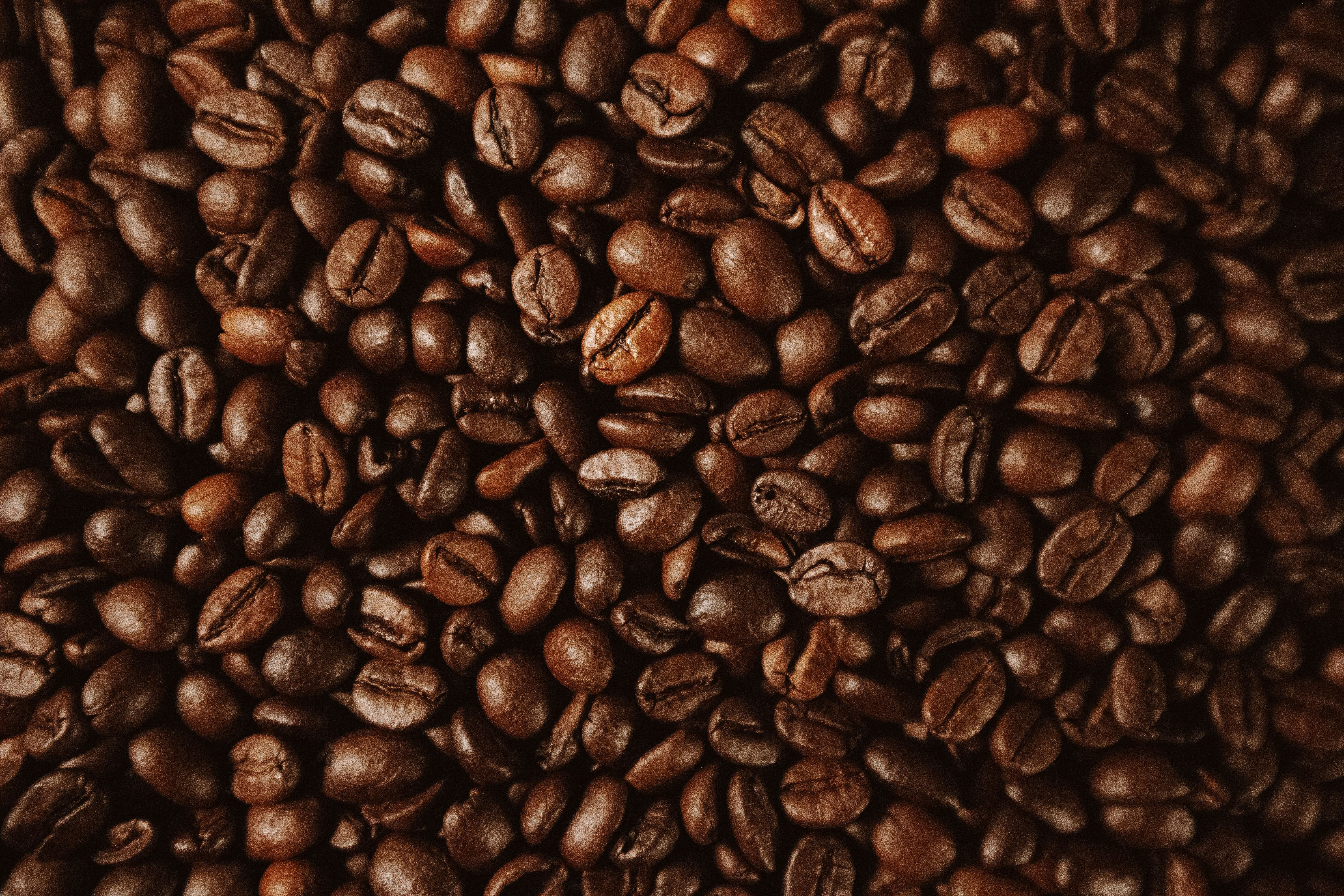 6000x4000 Brown Coffee Photo, Download The BEST Free Brown Coffee & HD Image