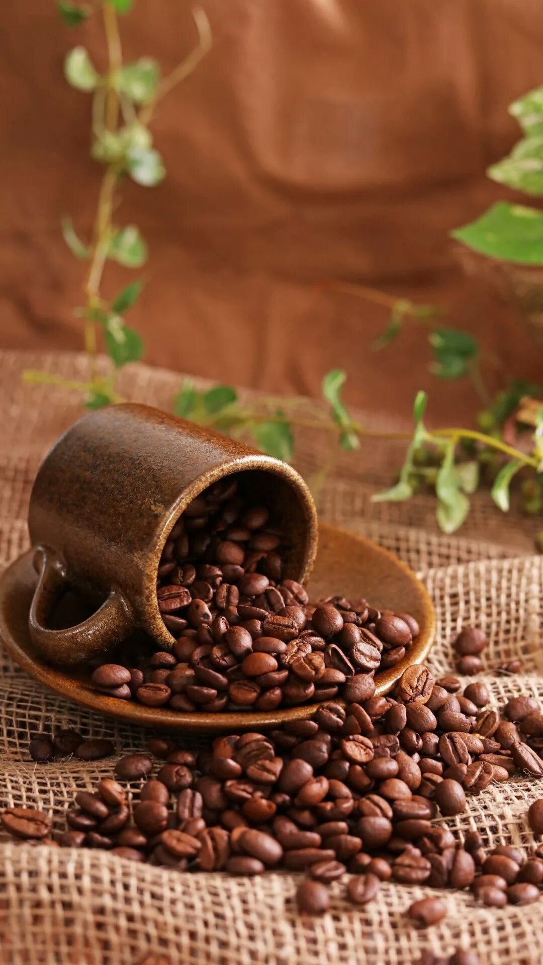 1080x1920 Coffee Beans Wallpaper