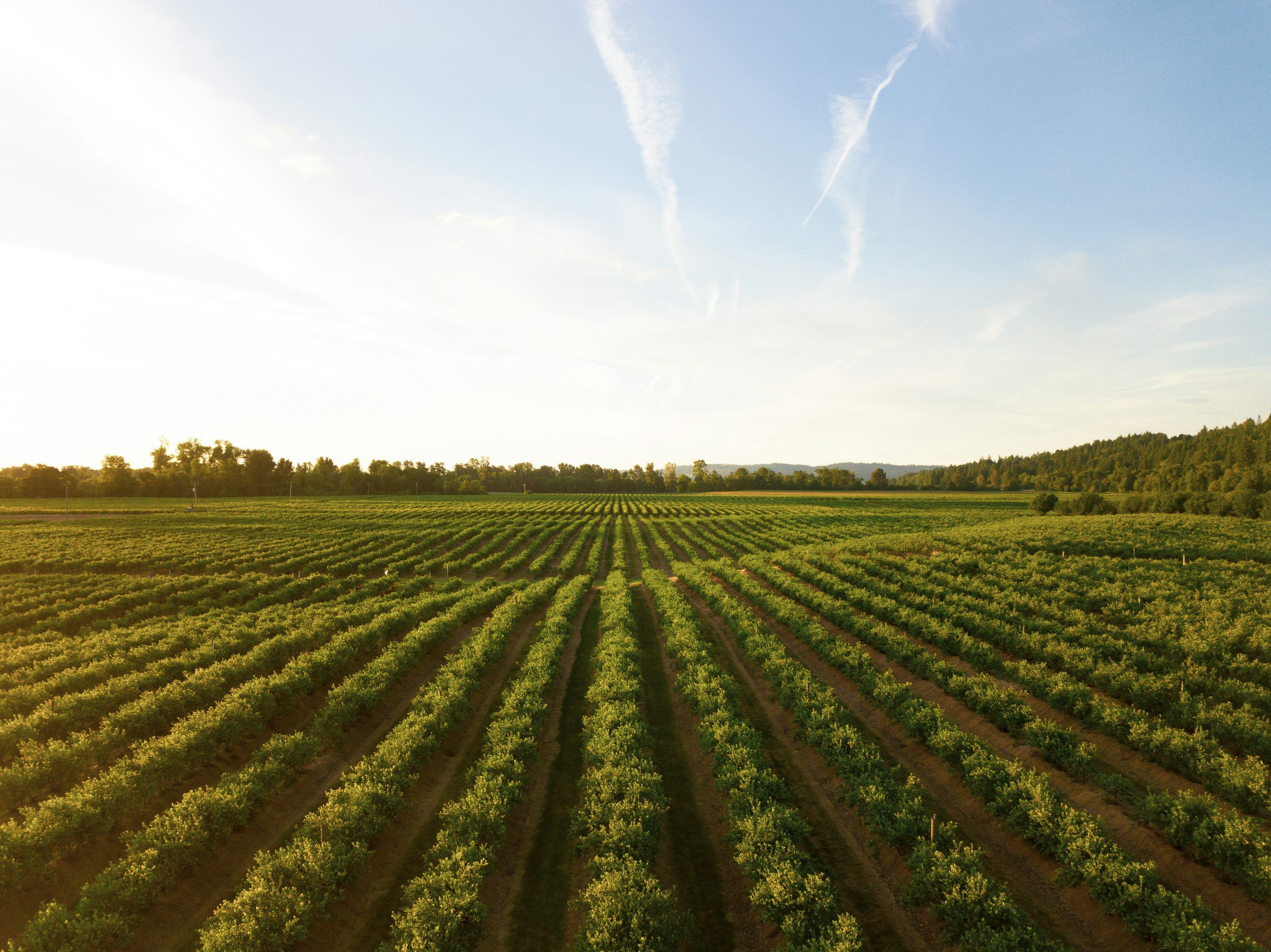 3000x2248 Organic Farming Picture. Download Free Image