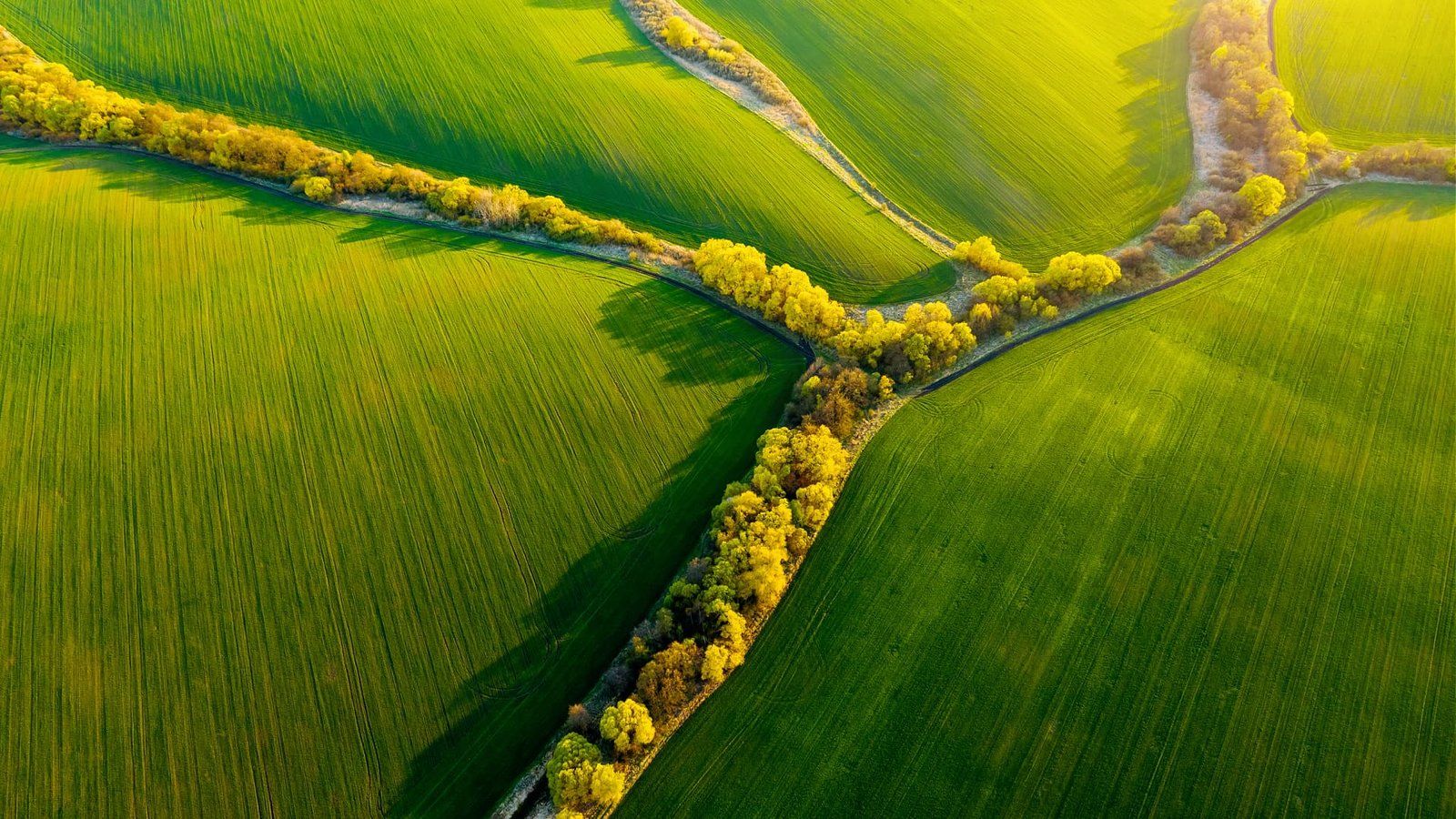 1600x900 Global Organic Farmland Continues Steady Expansion. Olive Oil Times