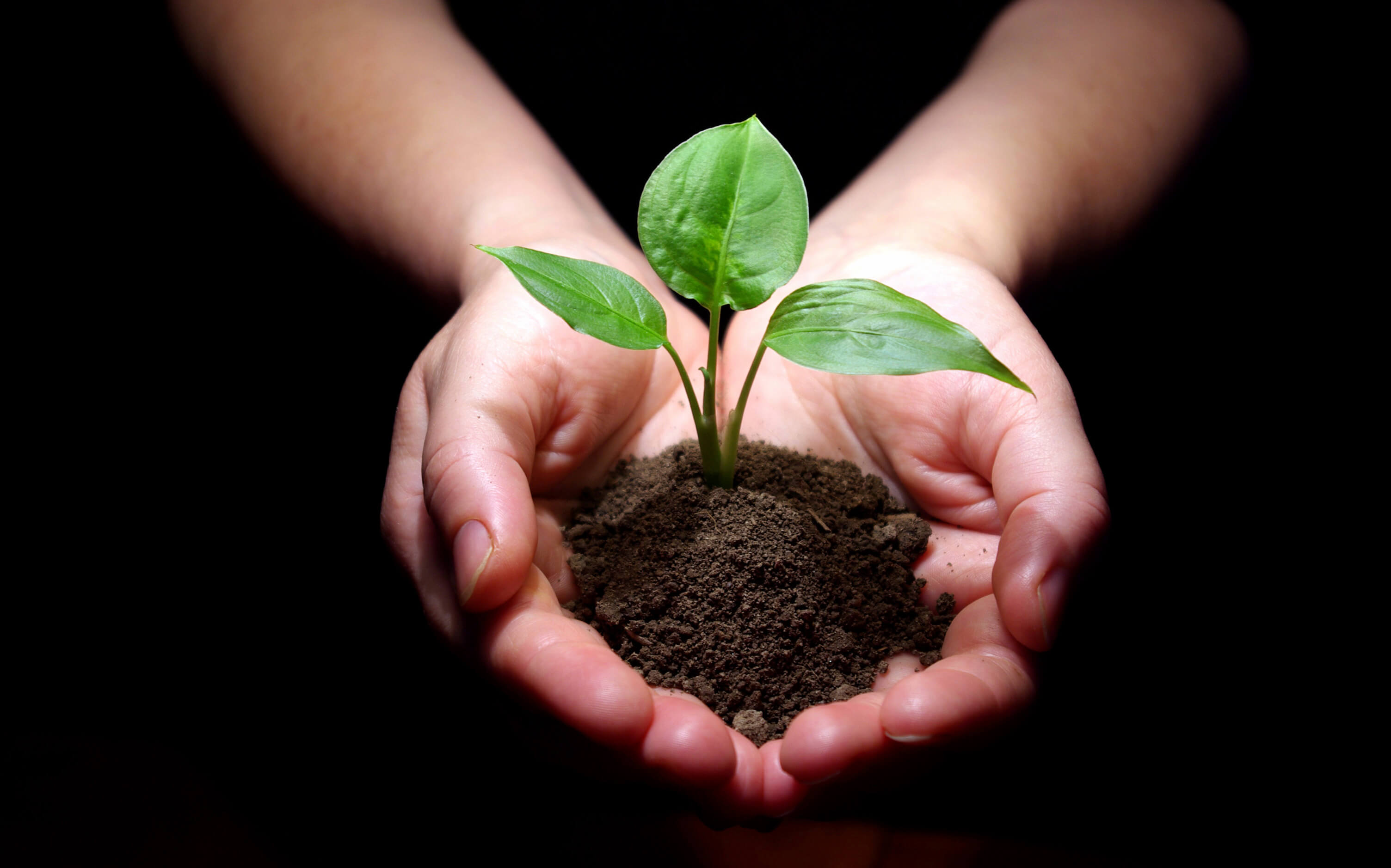 3008x1878 When it comes to sustainability and organic farming, does size matter? Literacy Project
