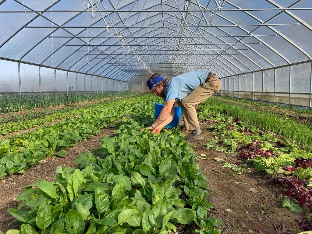 1024x768 Want To Start An Organic Farm? Answer This One Question First