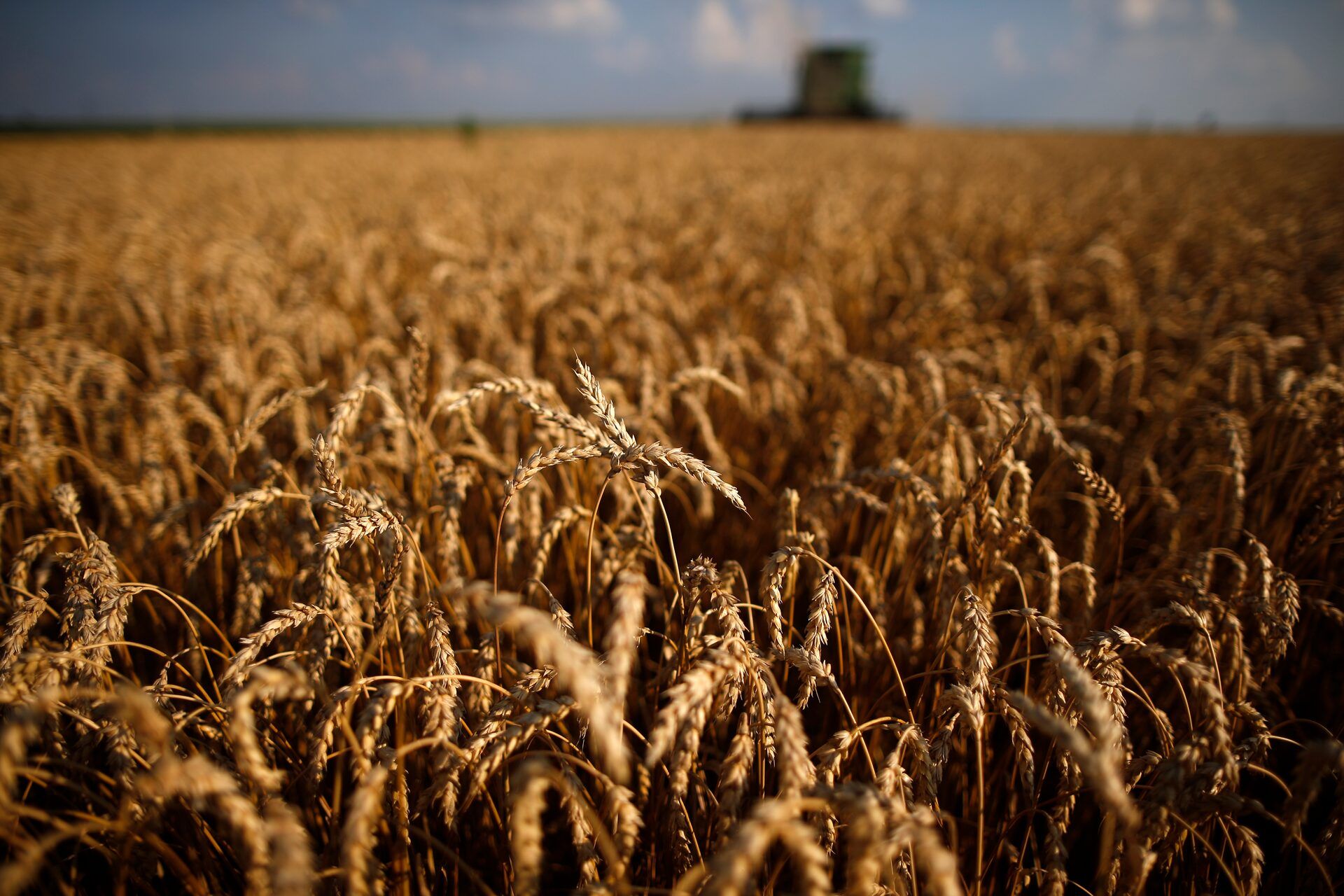 1920x1280 How a U.S. 'loophole' can push organic farmers to destroy wildland