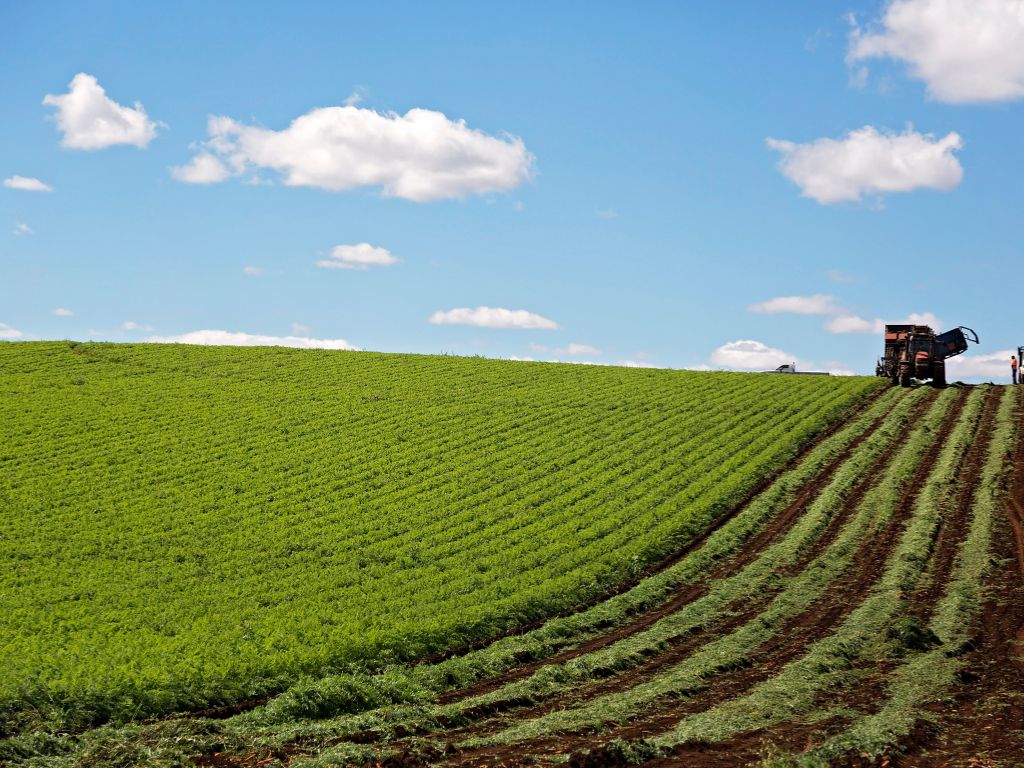 1024x768 Organic farming and its essential components