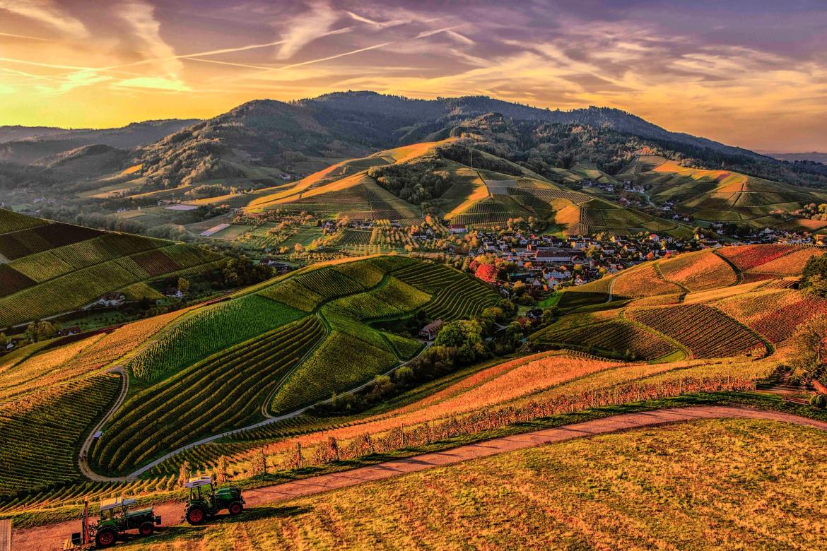 1170x780 Conventional vs Organic Farming: Beyond Food Production